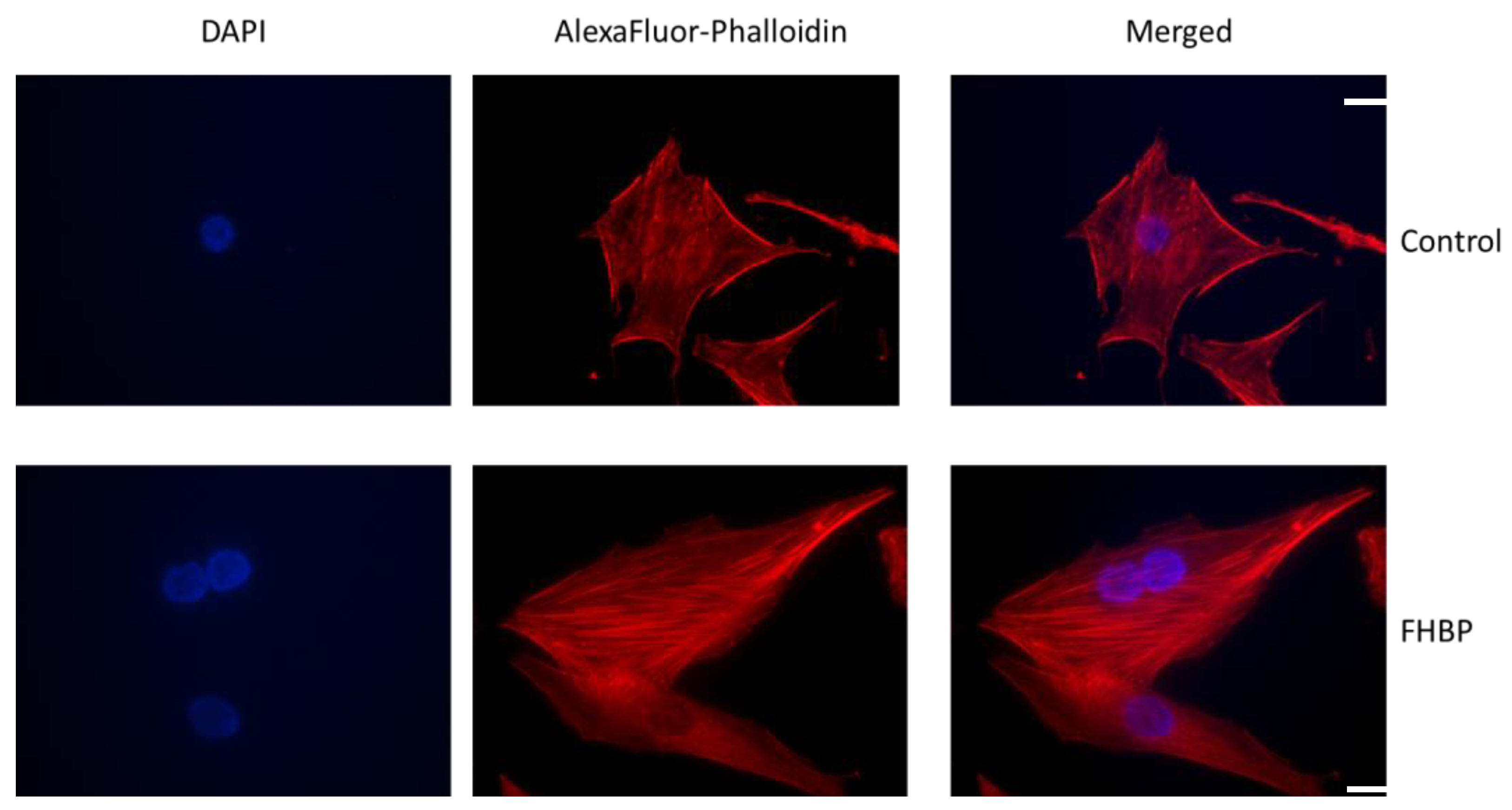 Biomolecules 13 01113 g008