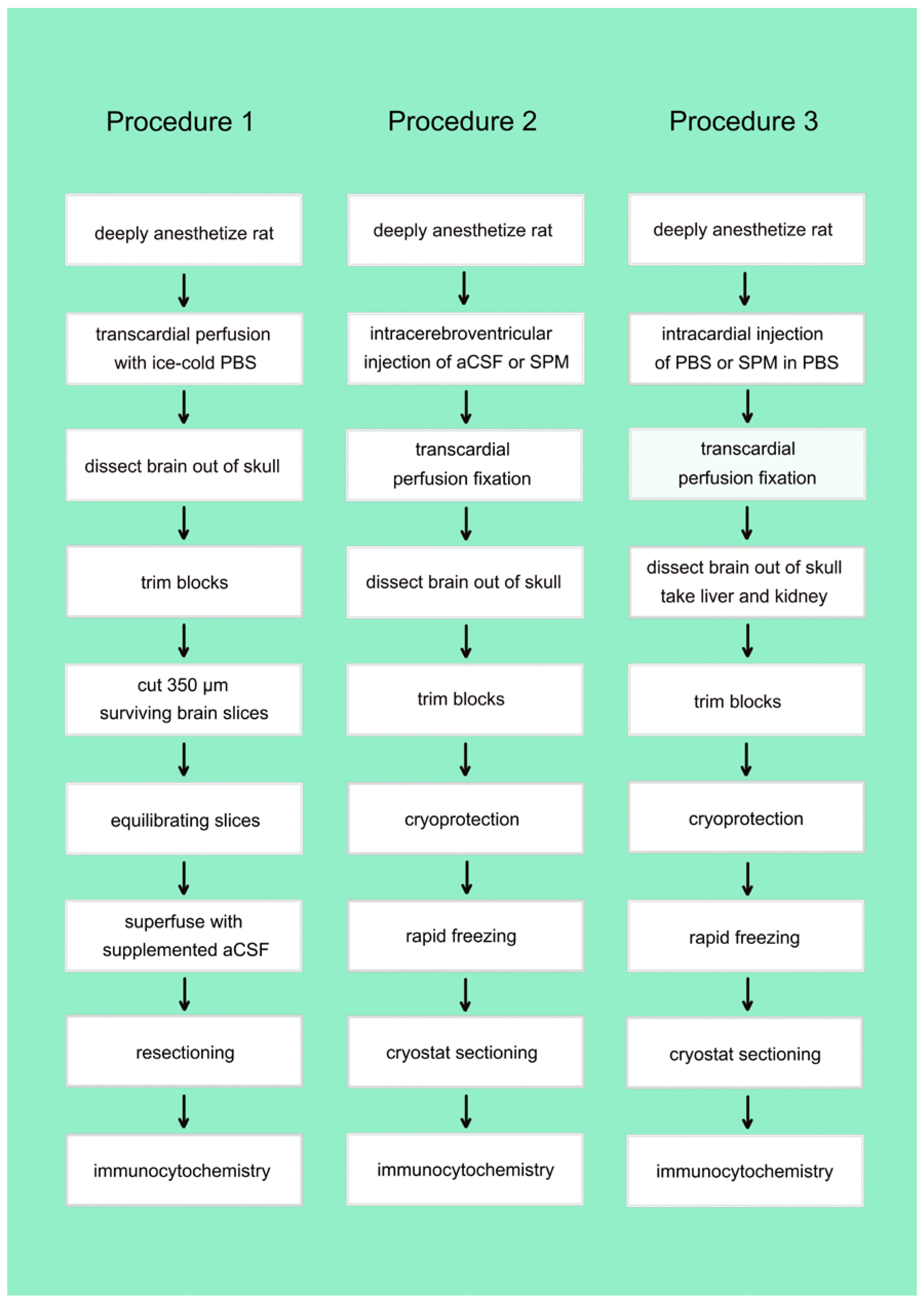 Biomolecules 13 01114 g002