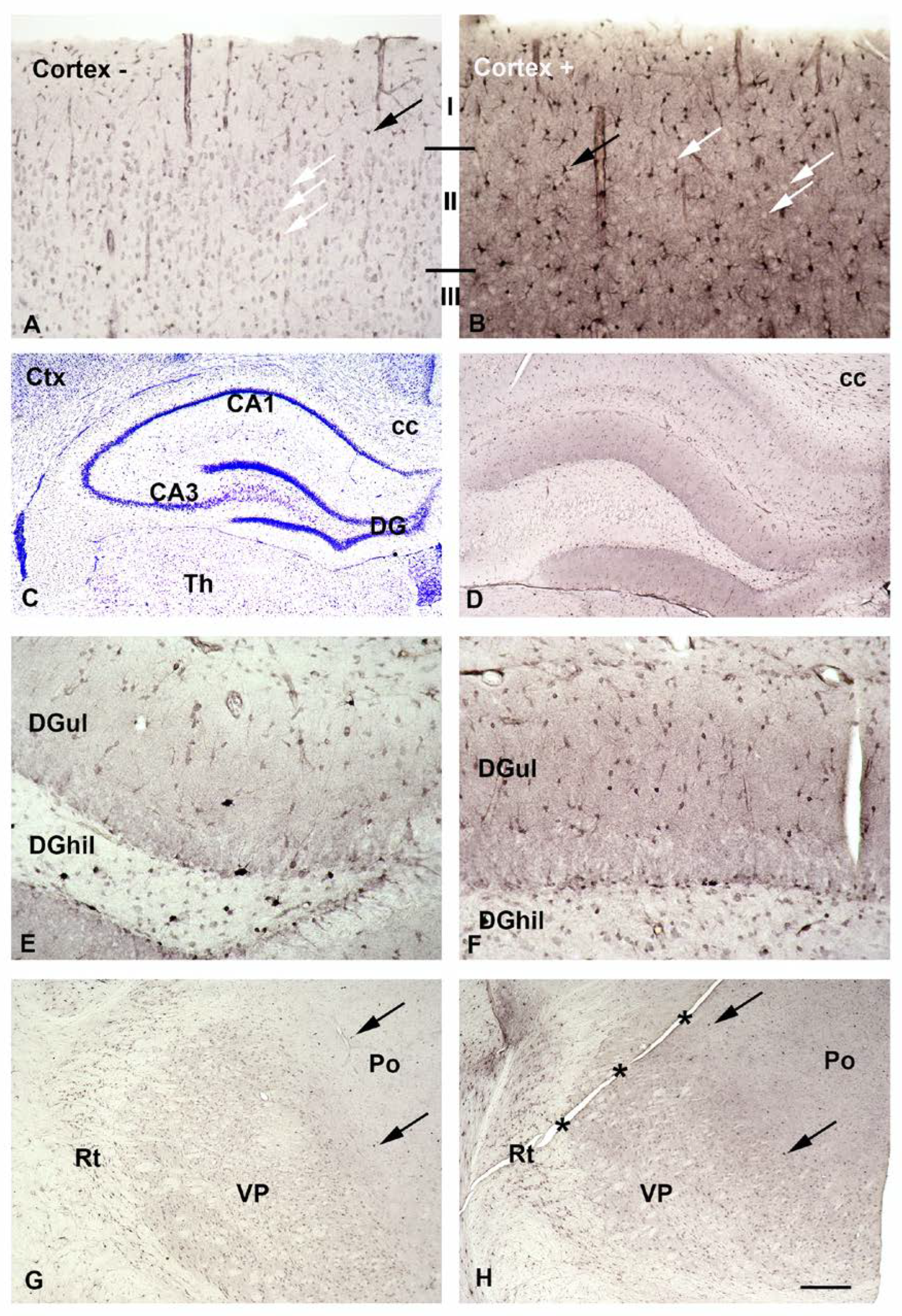 Biomolecules 13 01114 g003