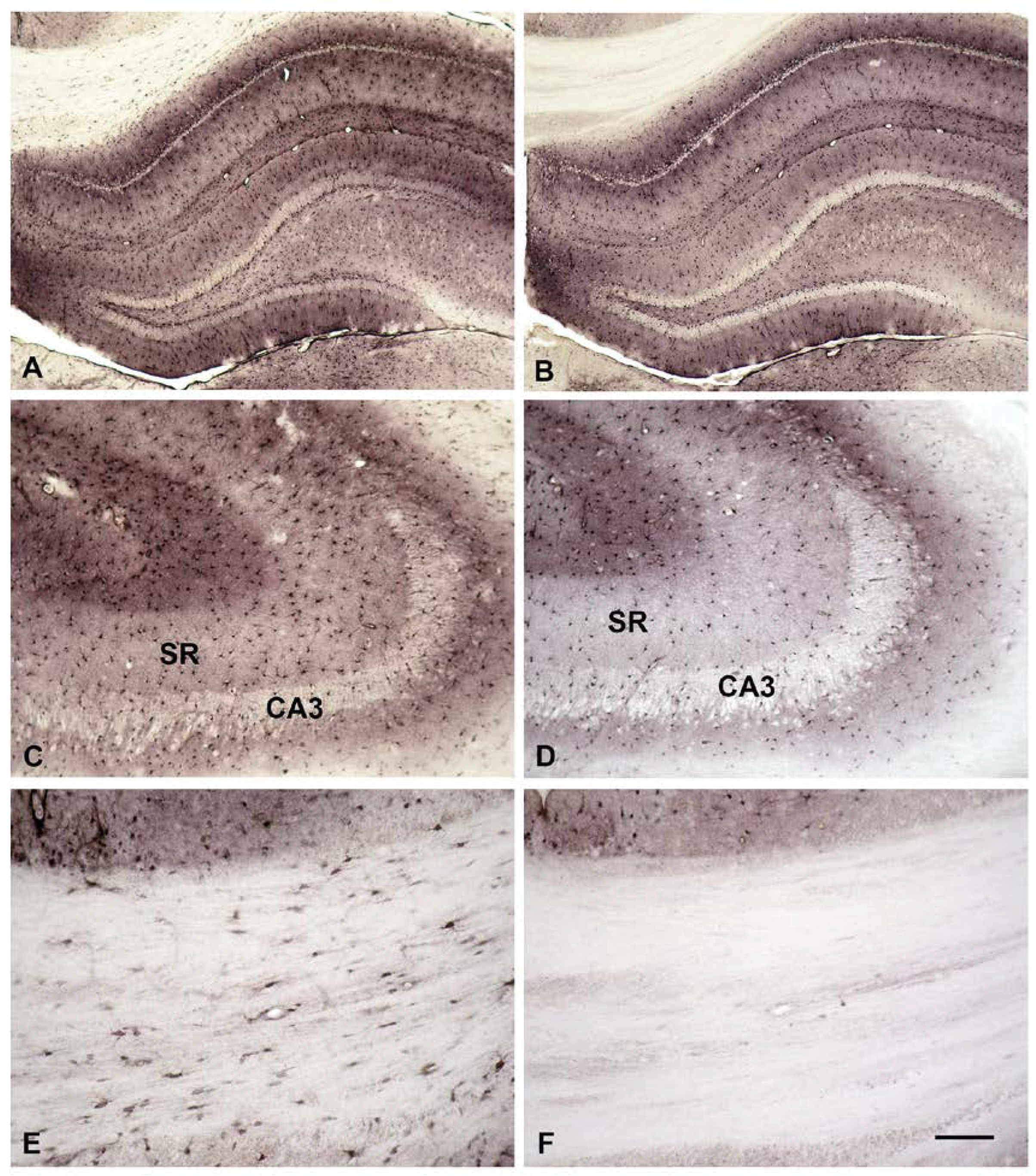 Biomolecules 13 01114 g004