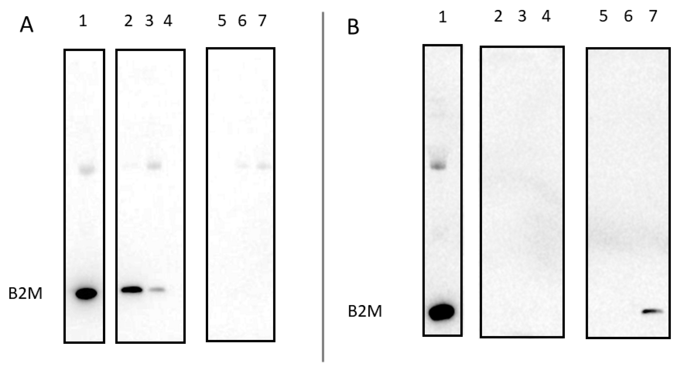 Biomolecules 13 01122 g005 Biomolecules 13 01122 g005