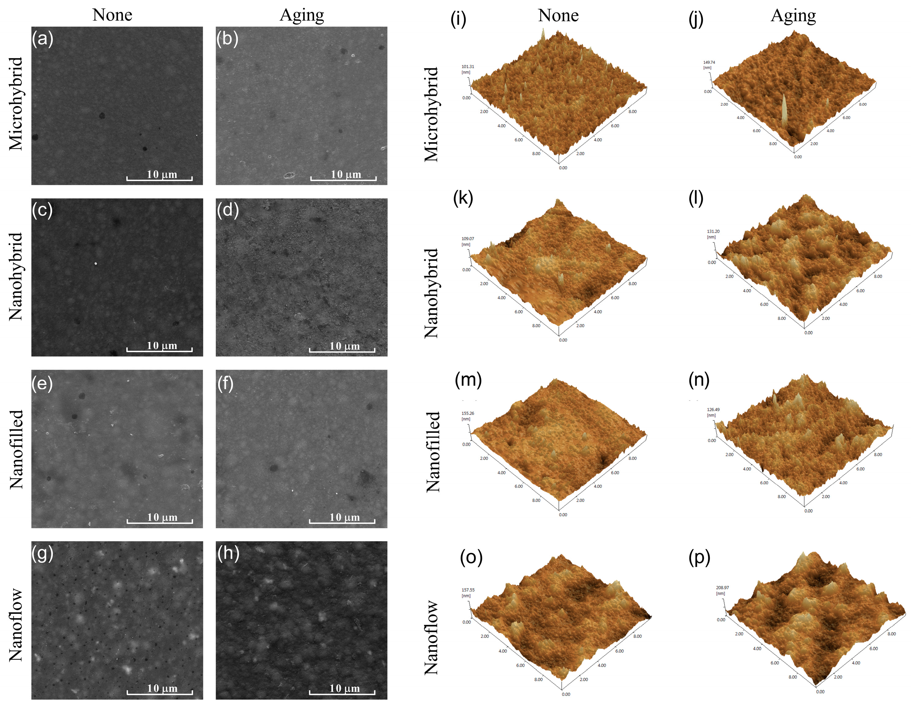 Biomolecules 13 01125 g001