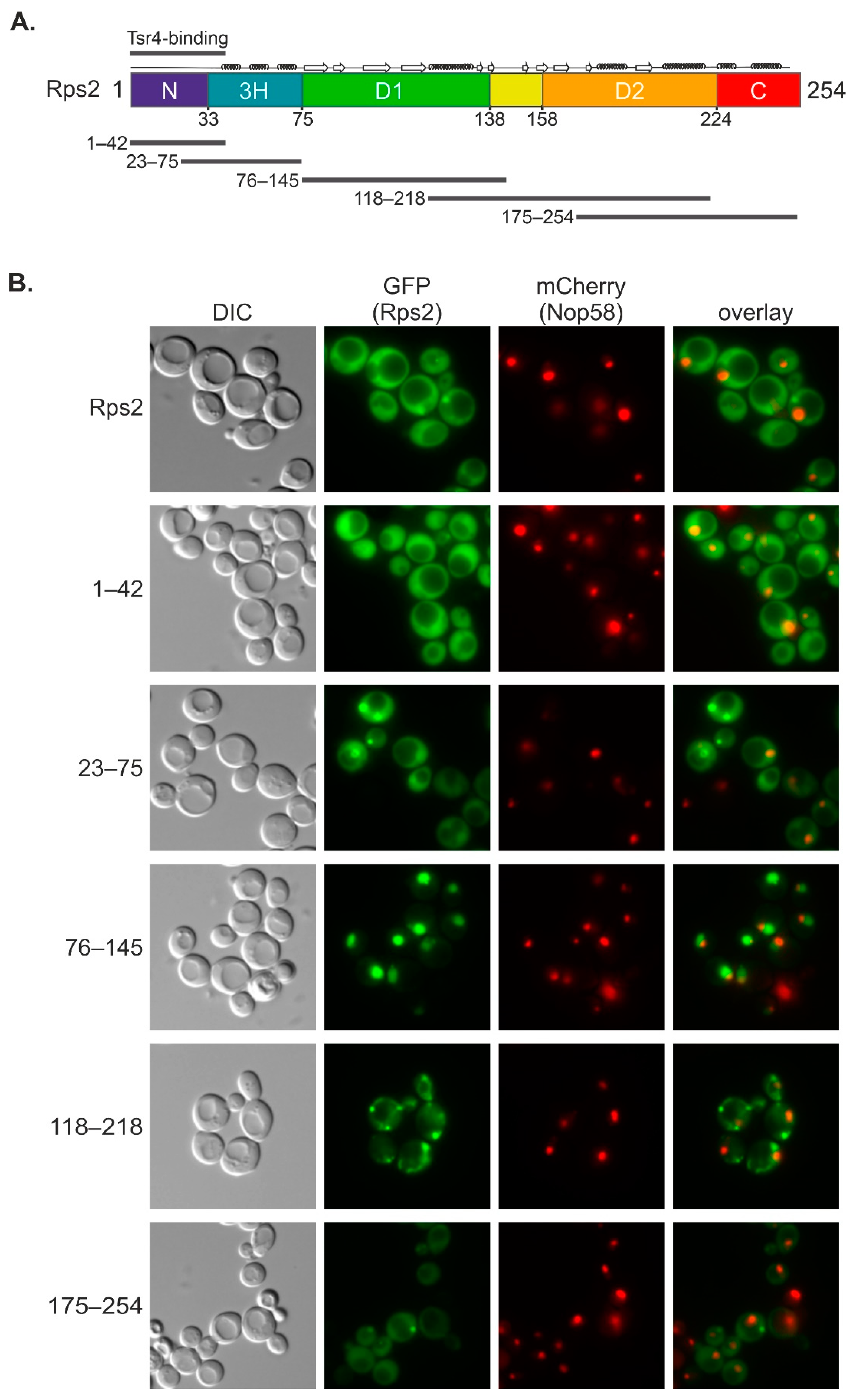 Biomolecules 13 01127 g001