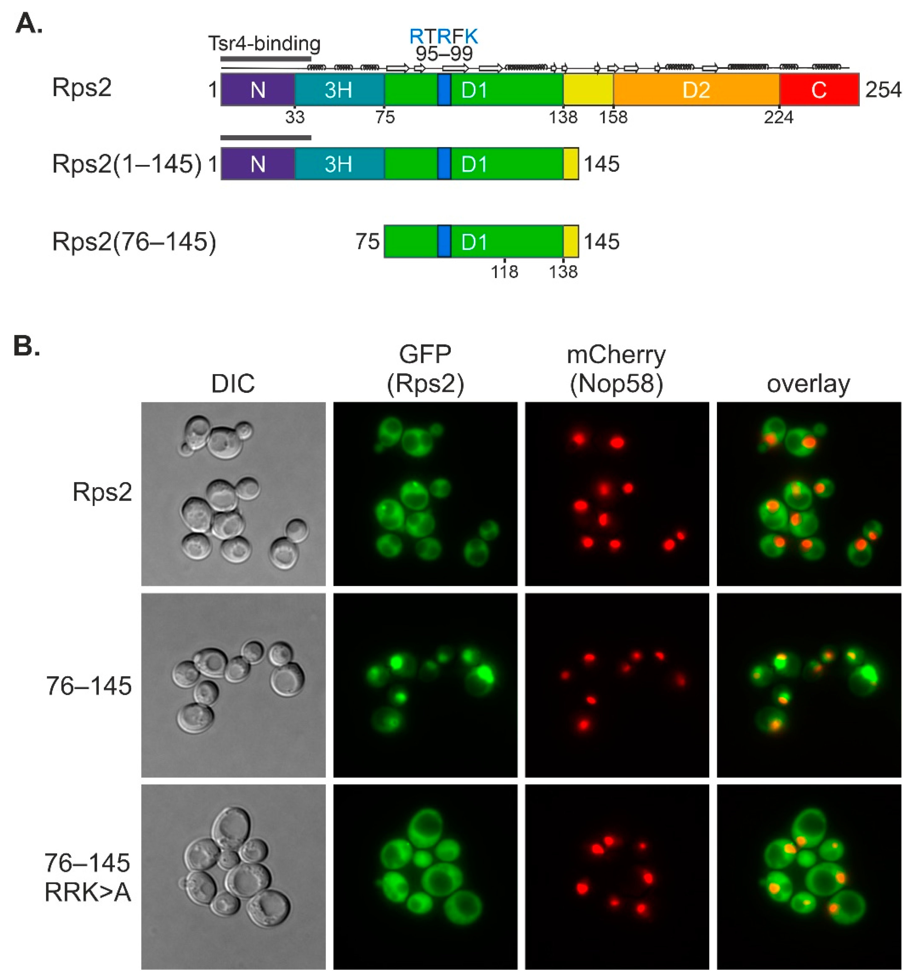 Biomolecules 13 01127 g002