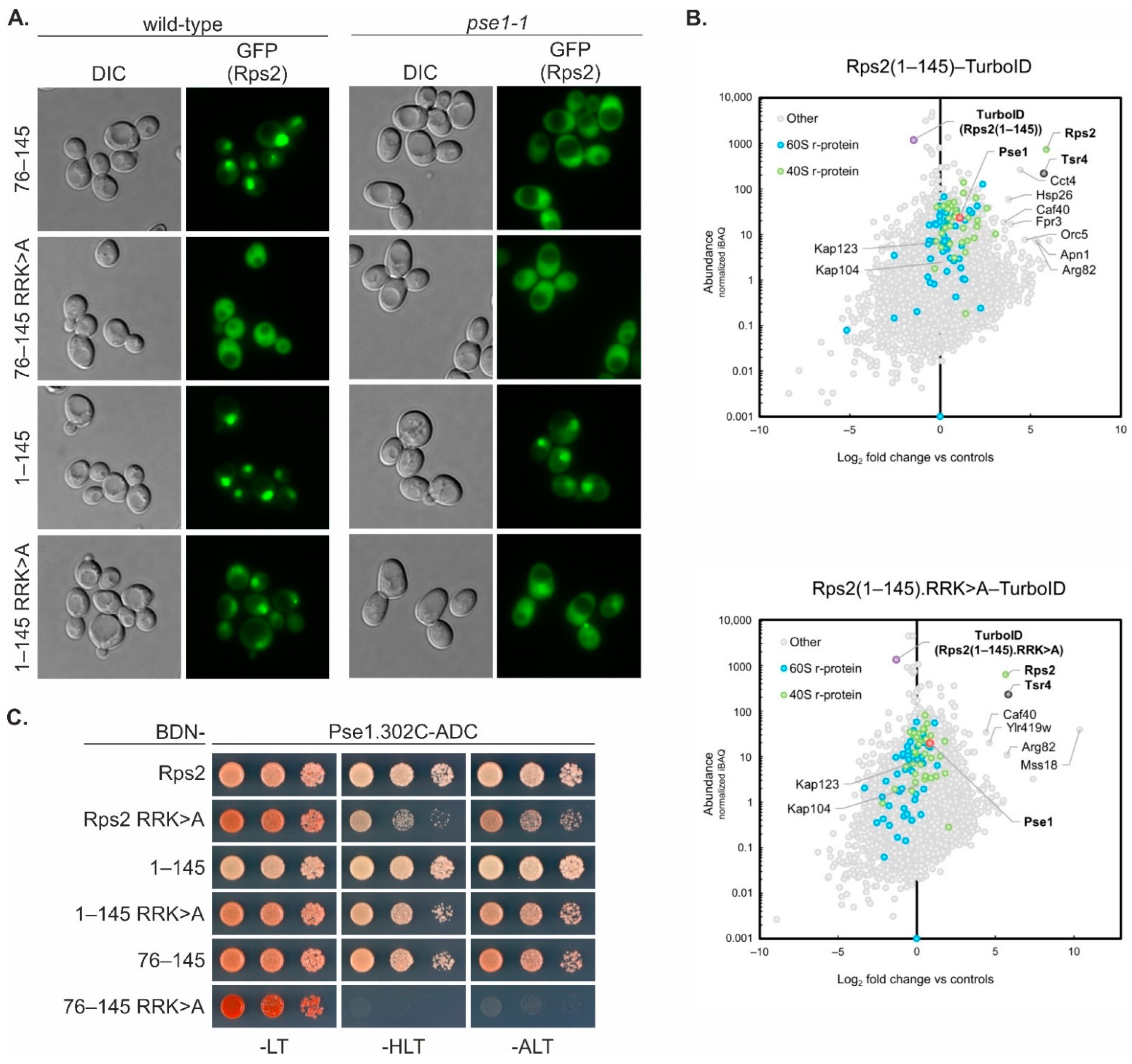 Biomolecules 13 01127 g004