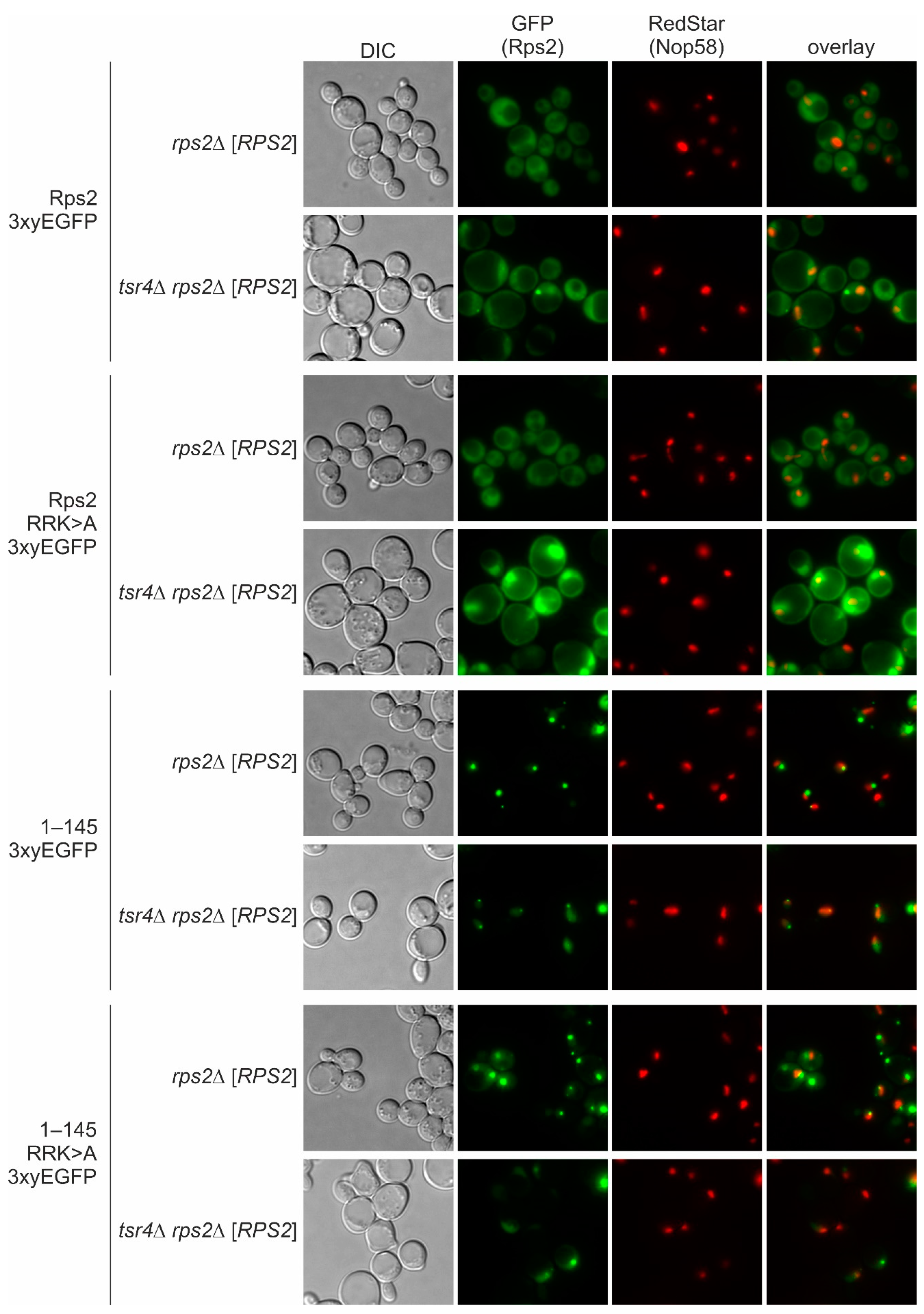 Biomolecules 13 01127 g005