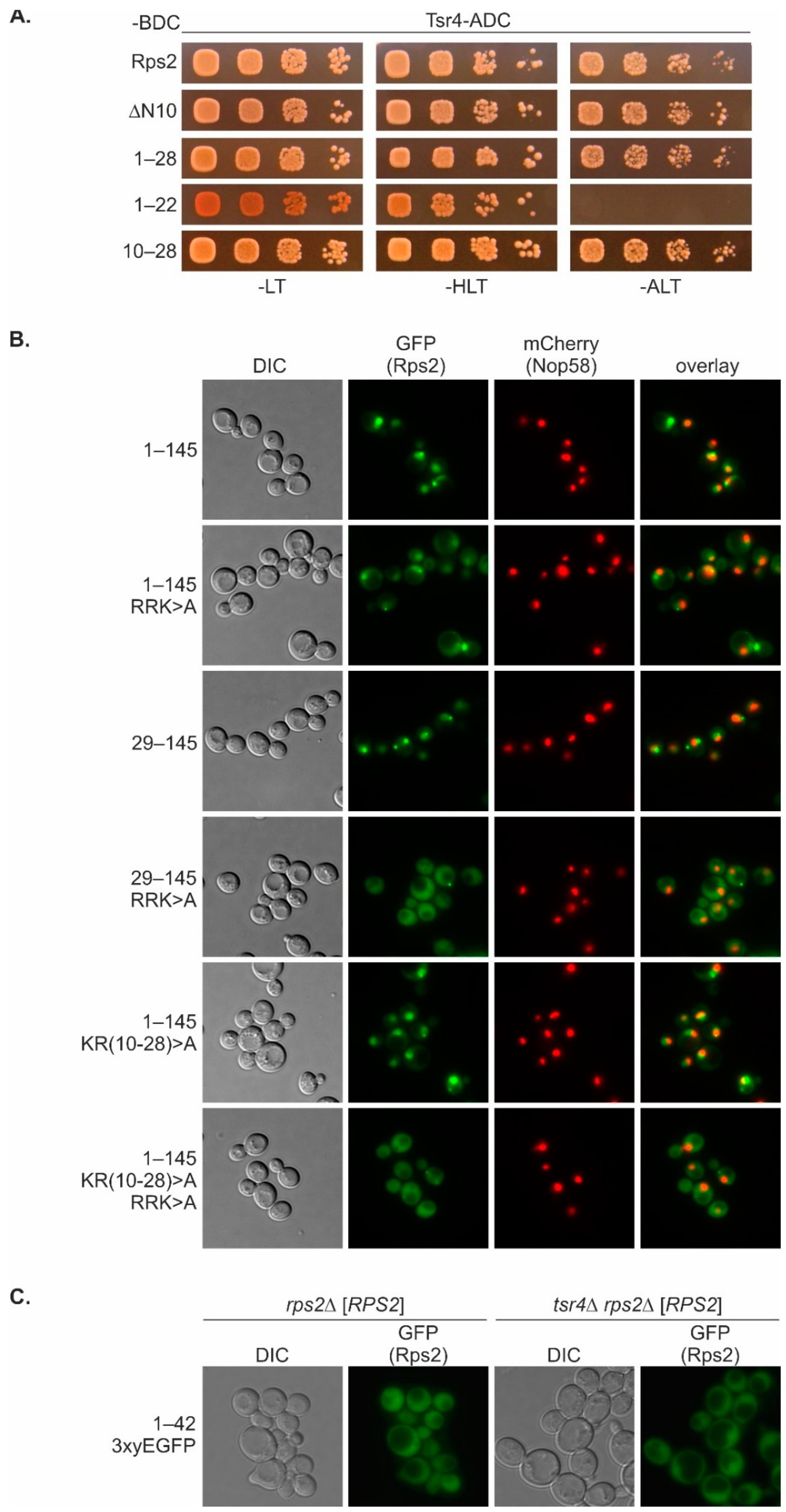 Biomolecules 13 01127 g006