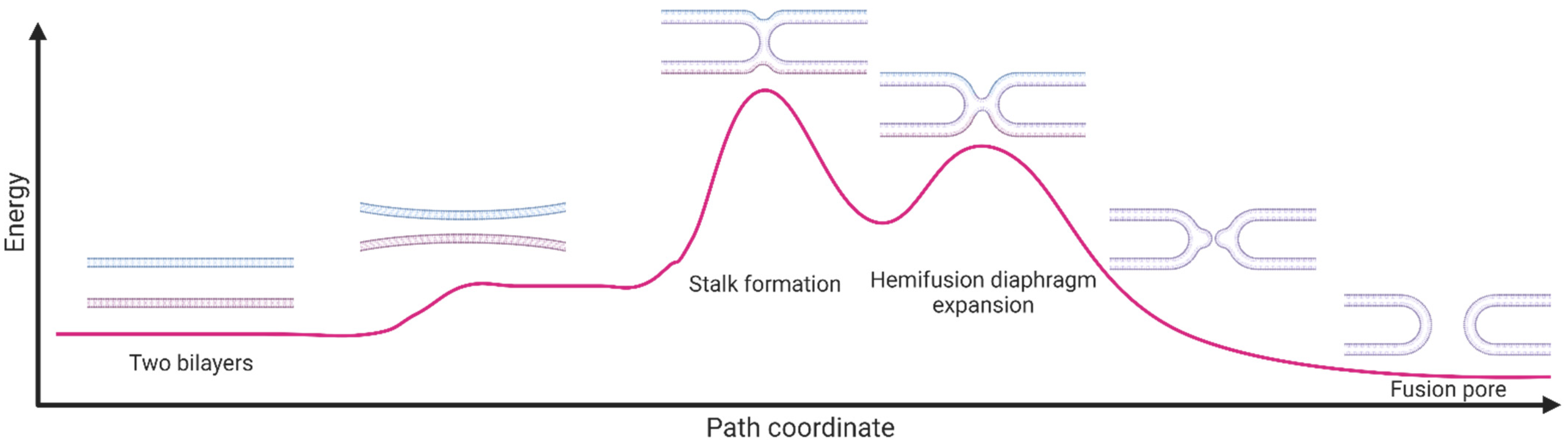 Biomolecules 13 01130 g001