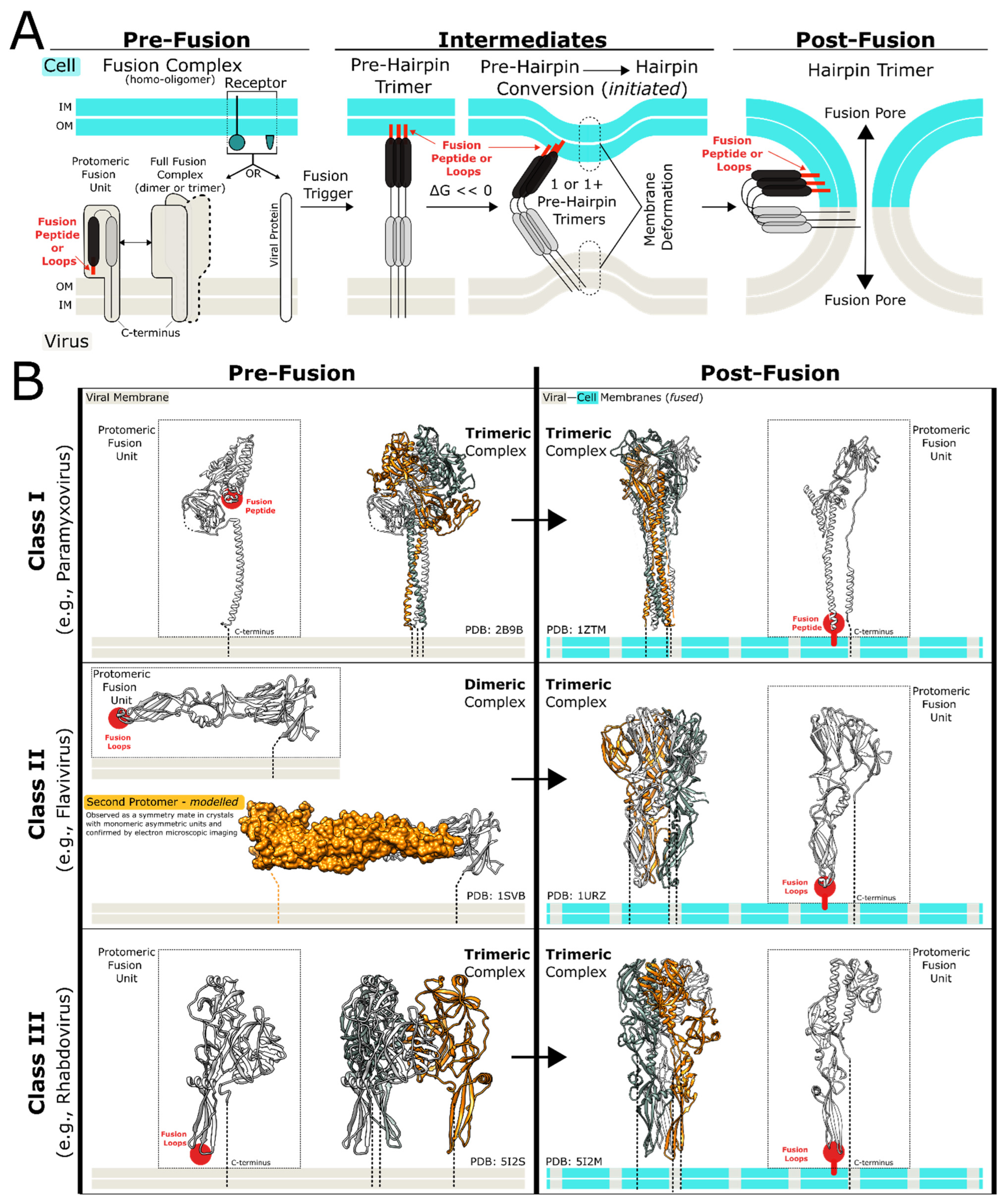 Biomolecules 13 01130 g003