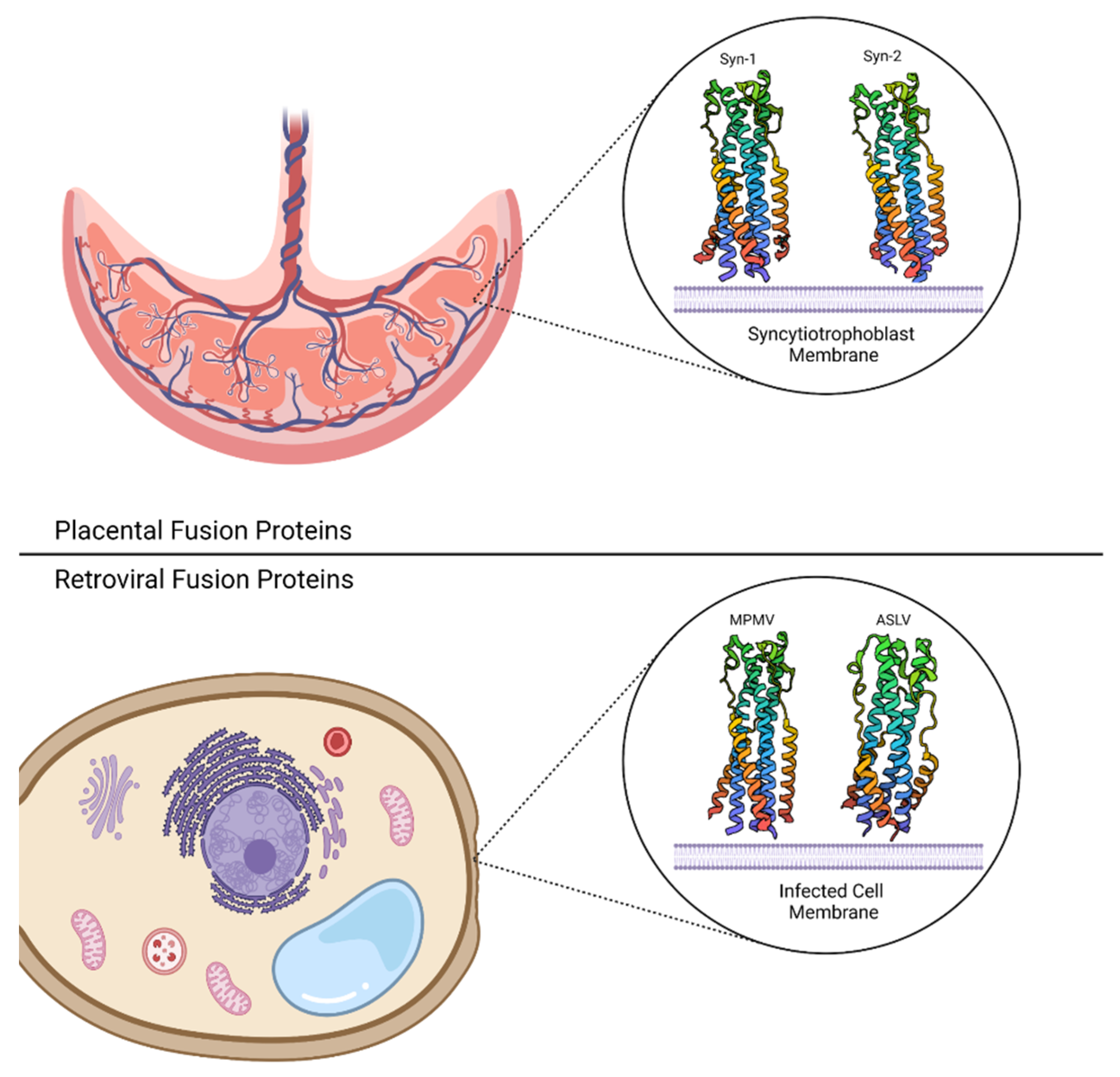Biomolecules 13 01130 g004