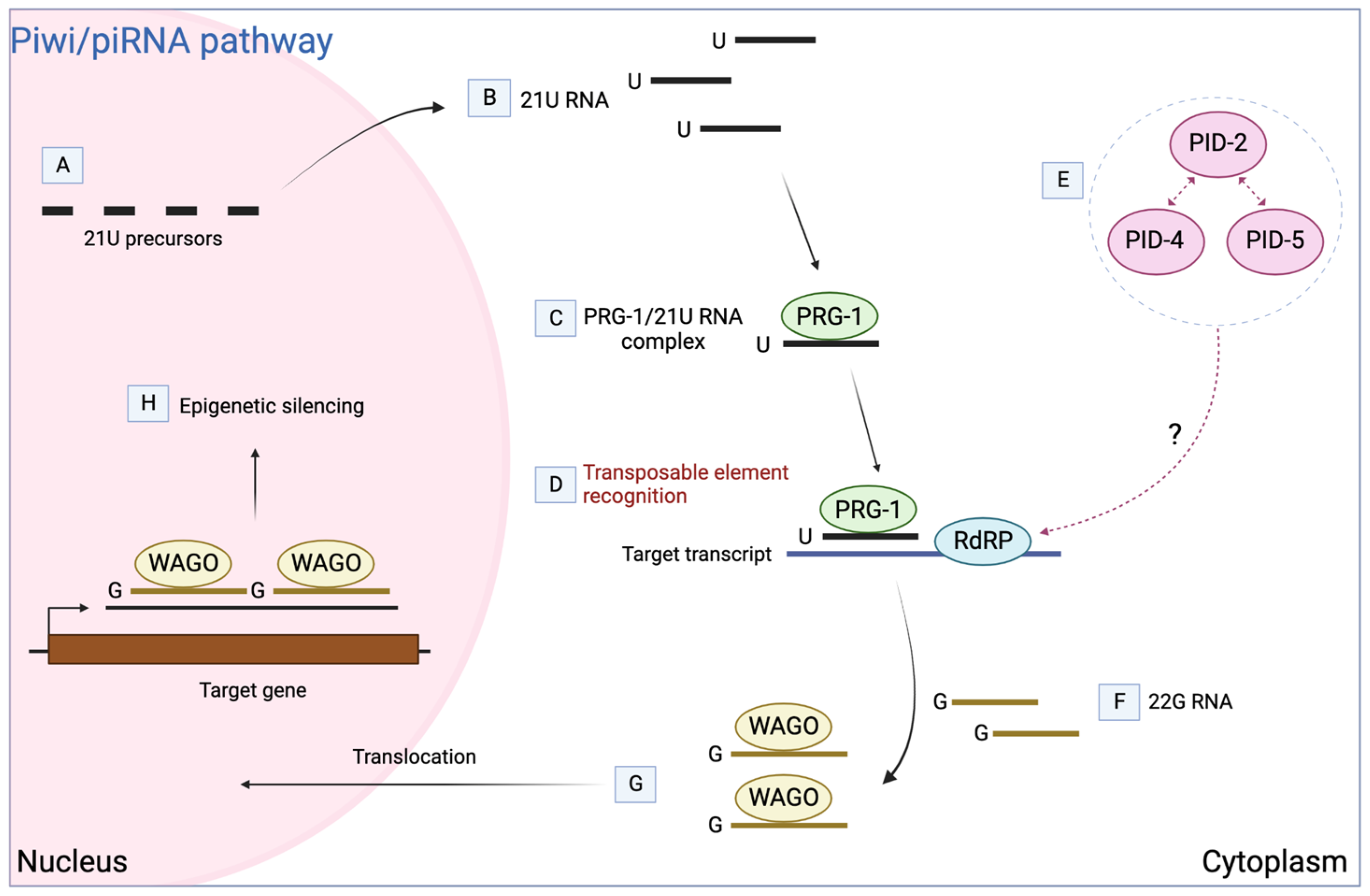 Biomolecules 13 01132 g001