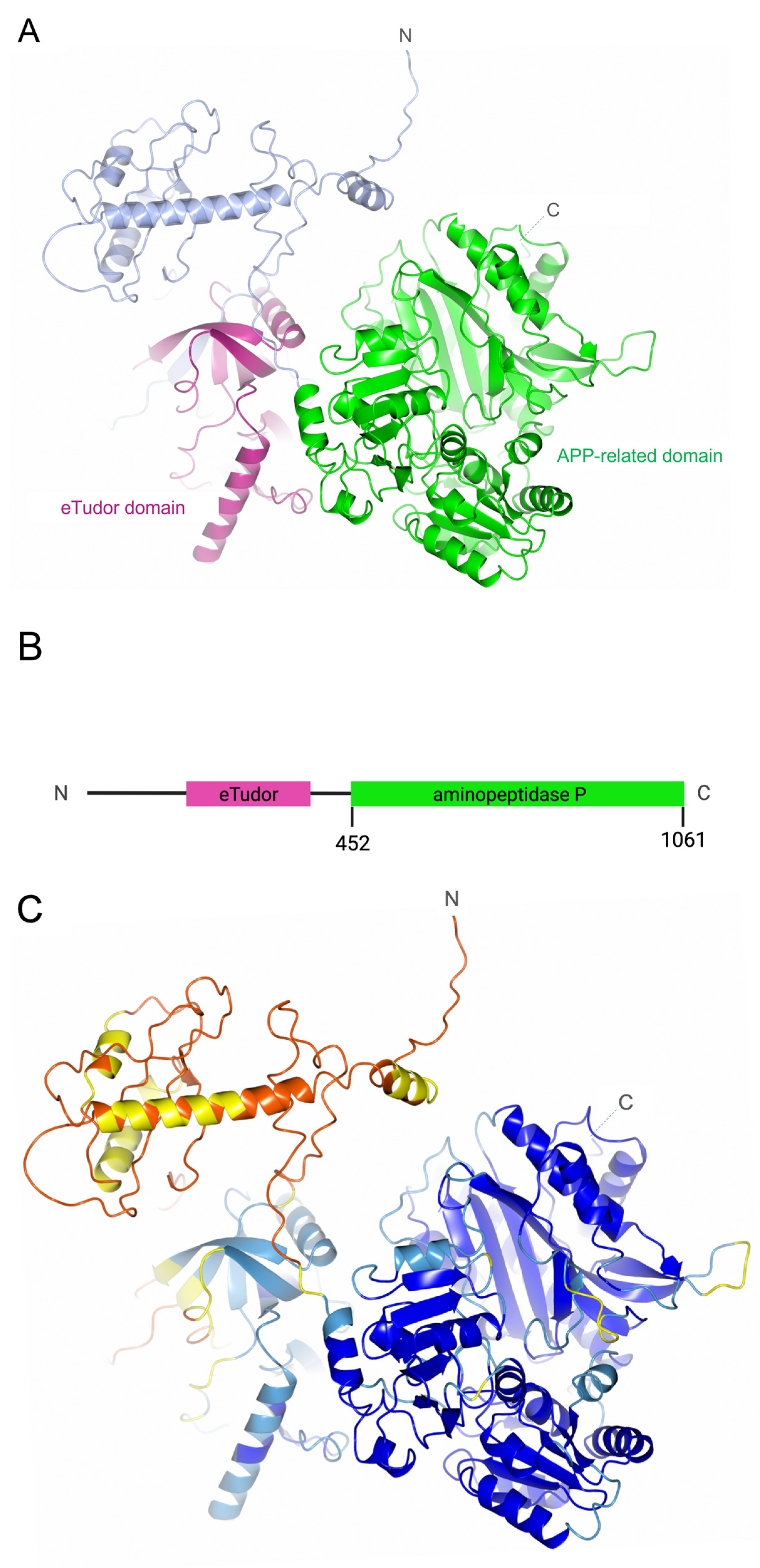 Biomolecules 13 01132 g002