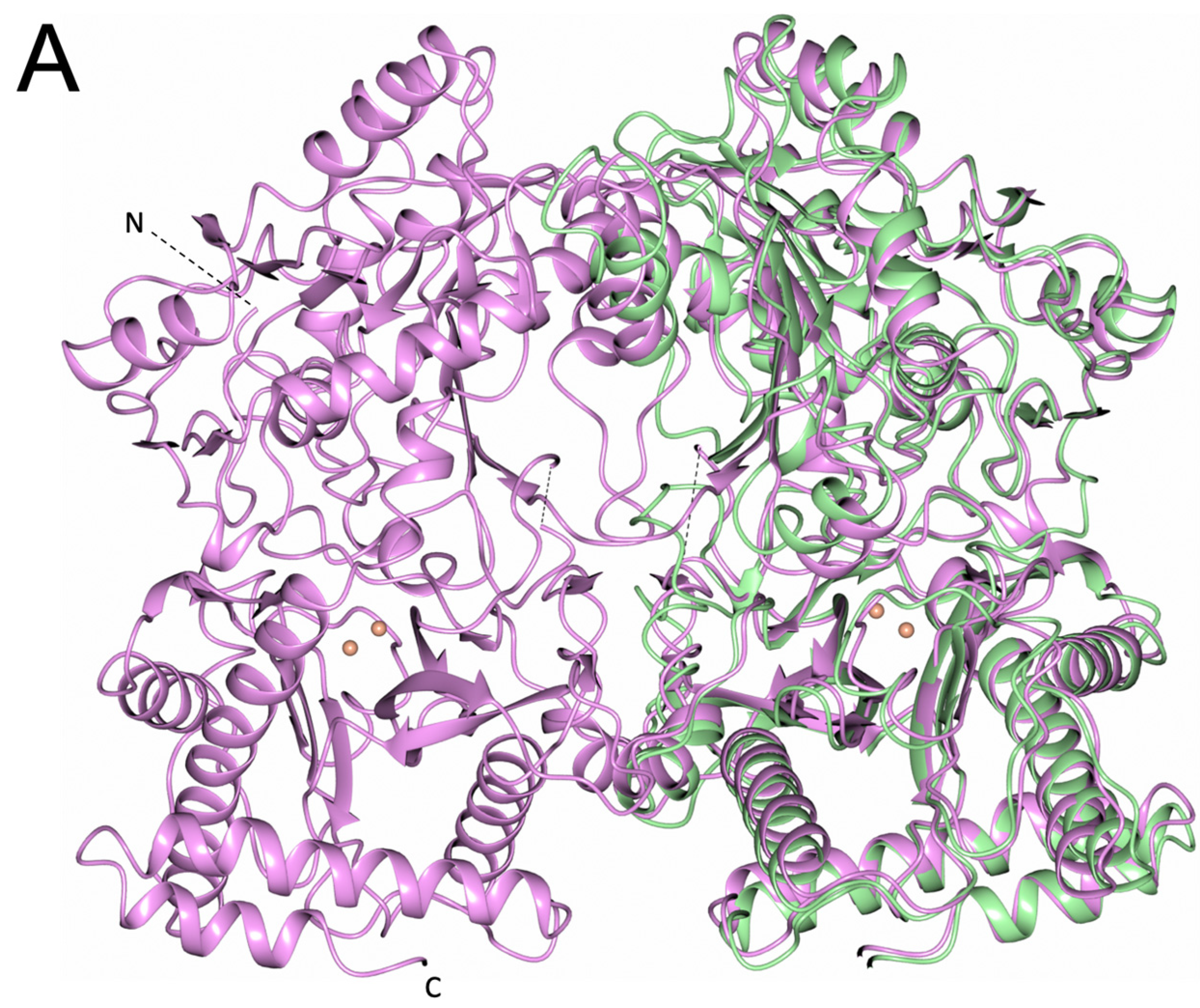 Biomolecules 13 01132 g006a