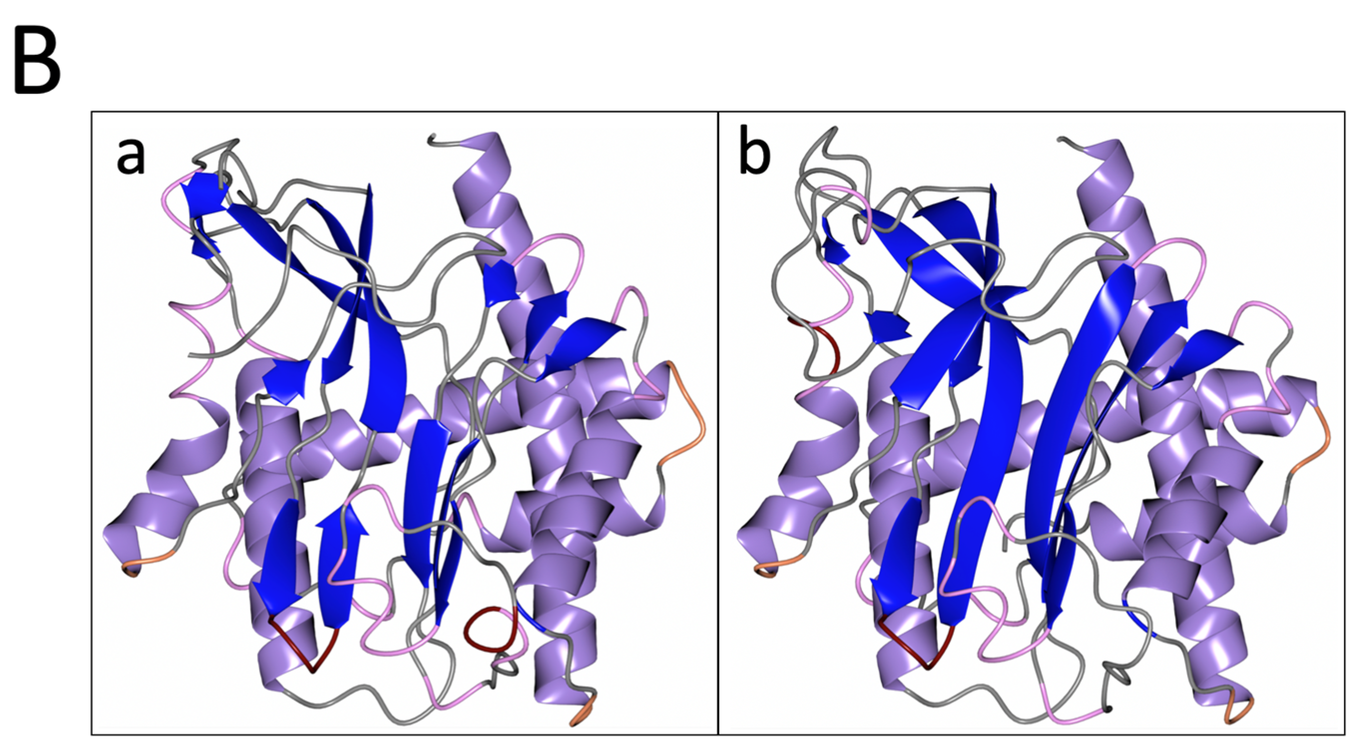 Biomolecules 13 01132 g006b