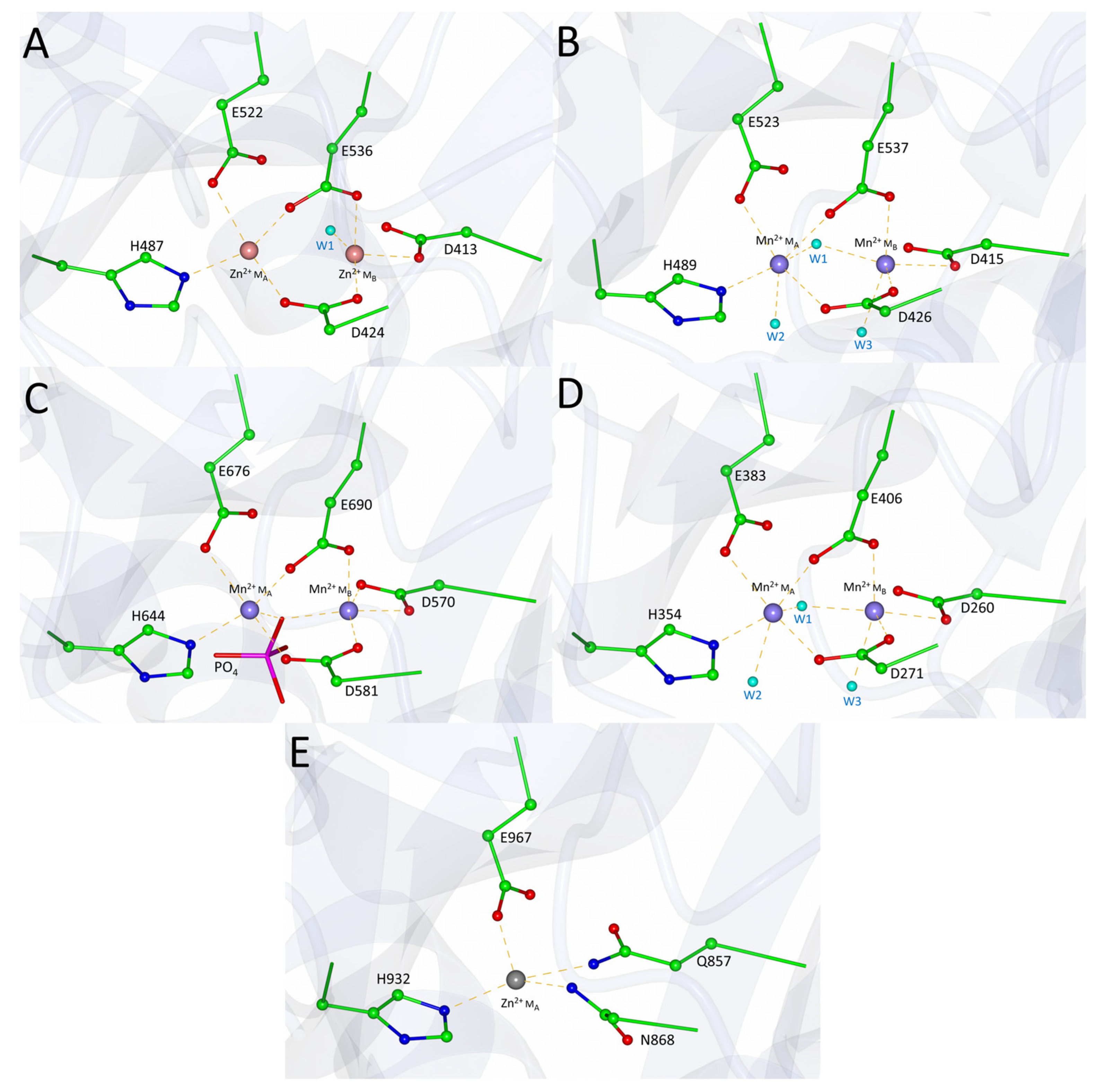 Biomolecules 13 01132 g007