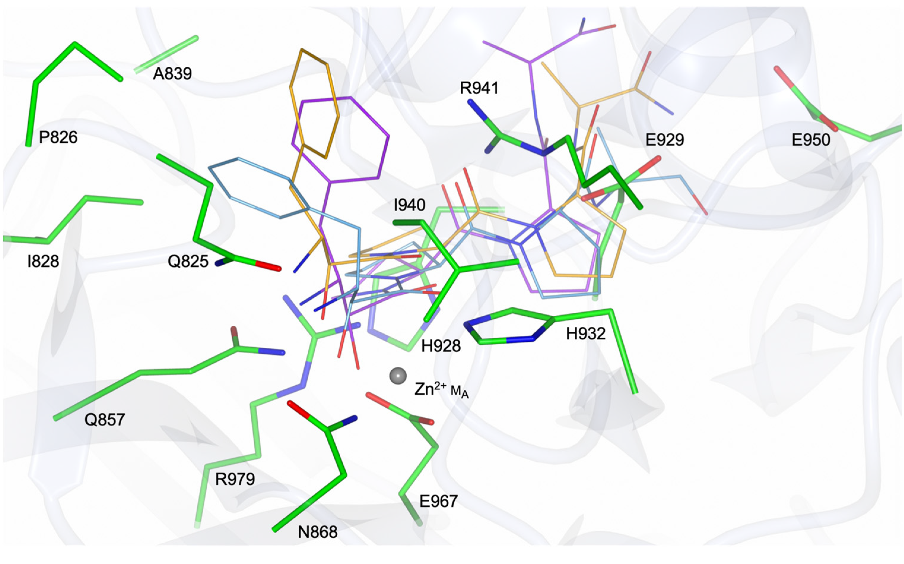 Biomolecules 13 01132 g009