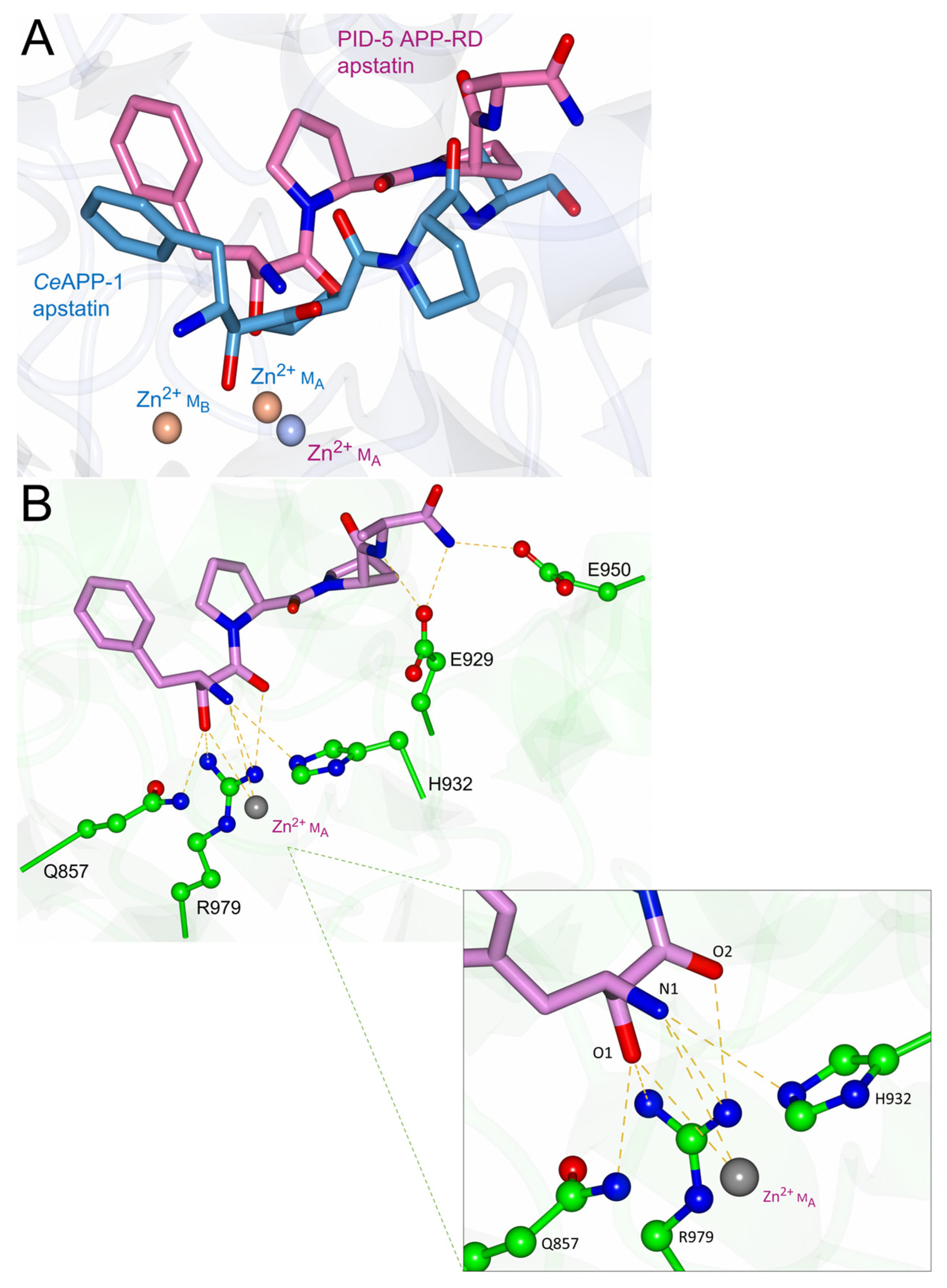 Biomolecules 13 01132 g010