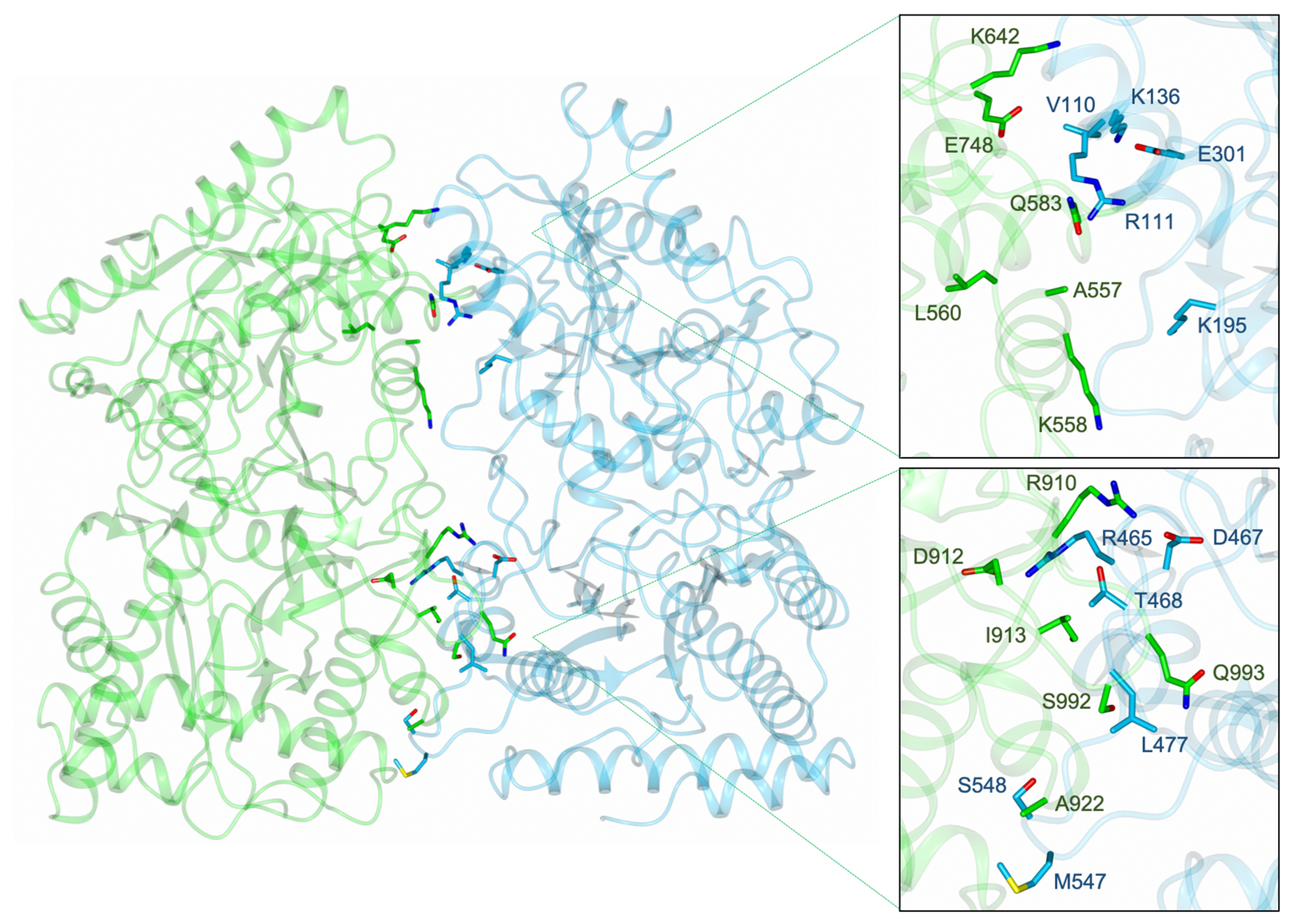 Biomolecules 13 01132 g012