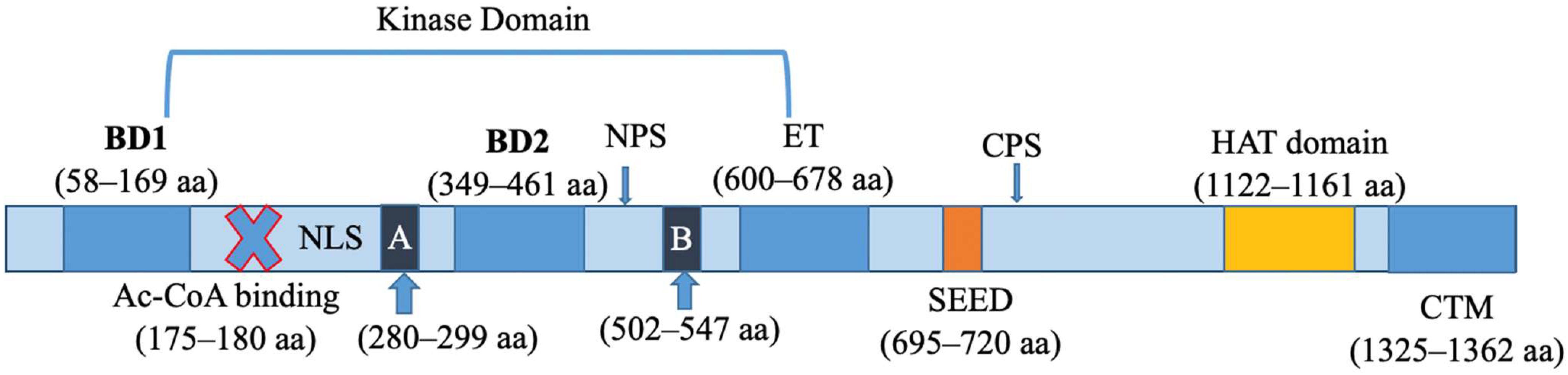 Biomolecules 13 01135 g001