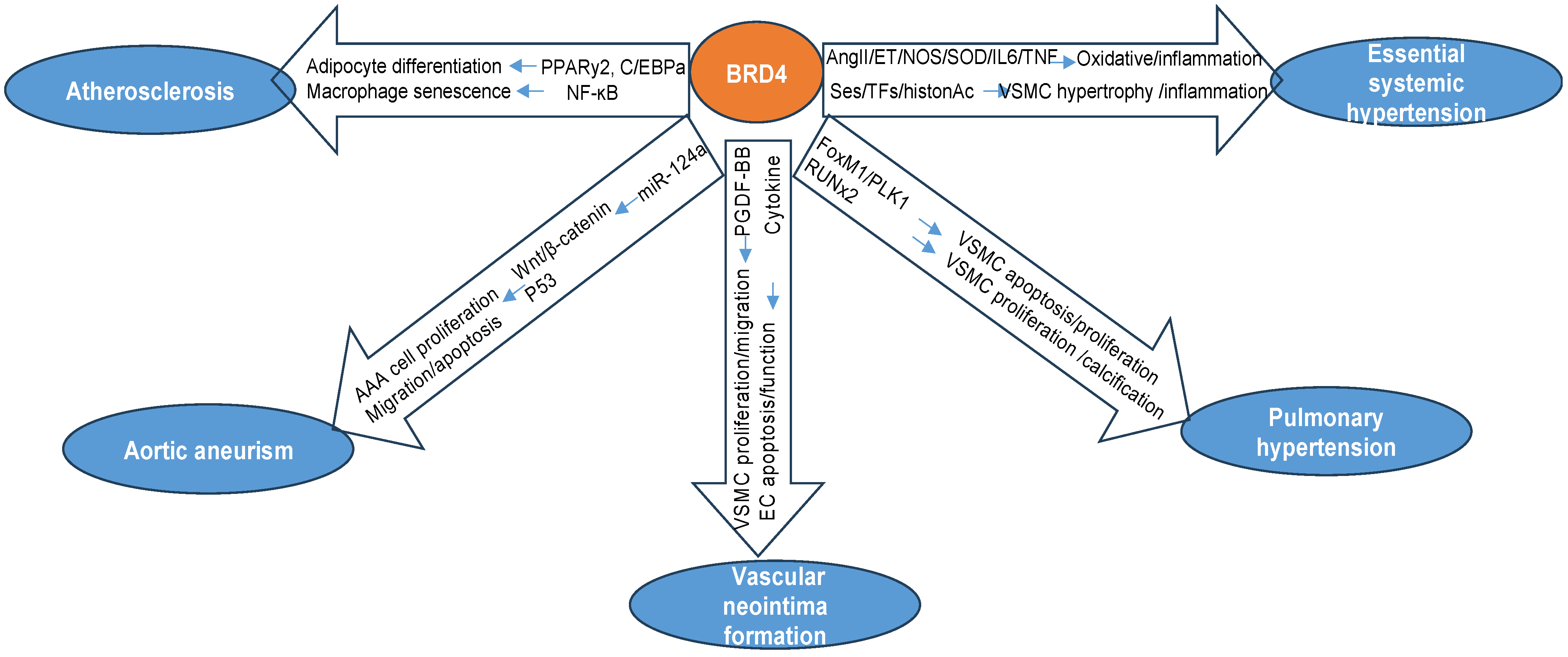 Biomolecules 13 01135 g002