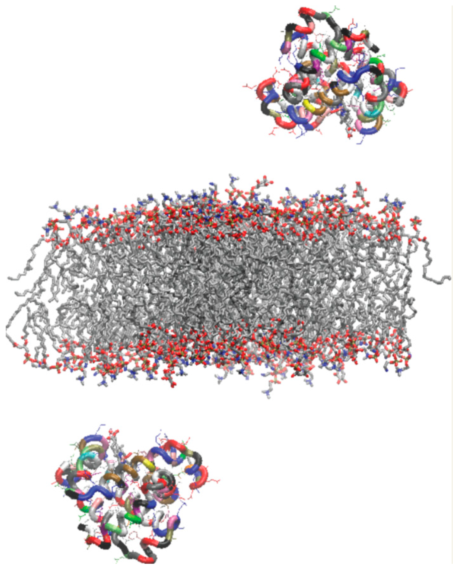 Biomolecules 13 01138 g002