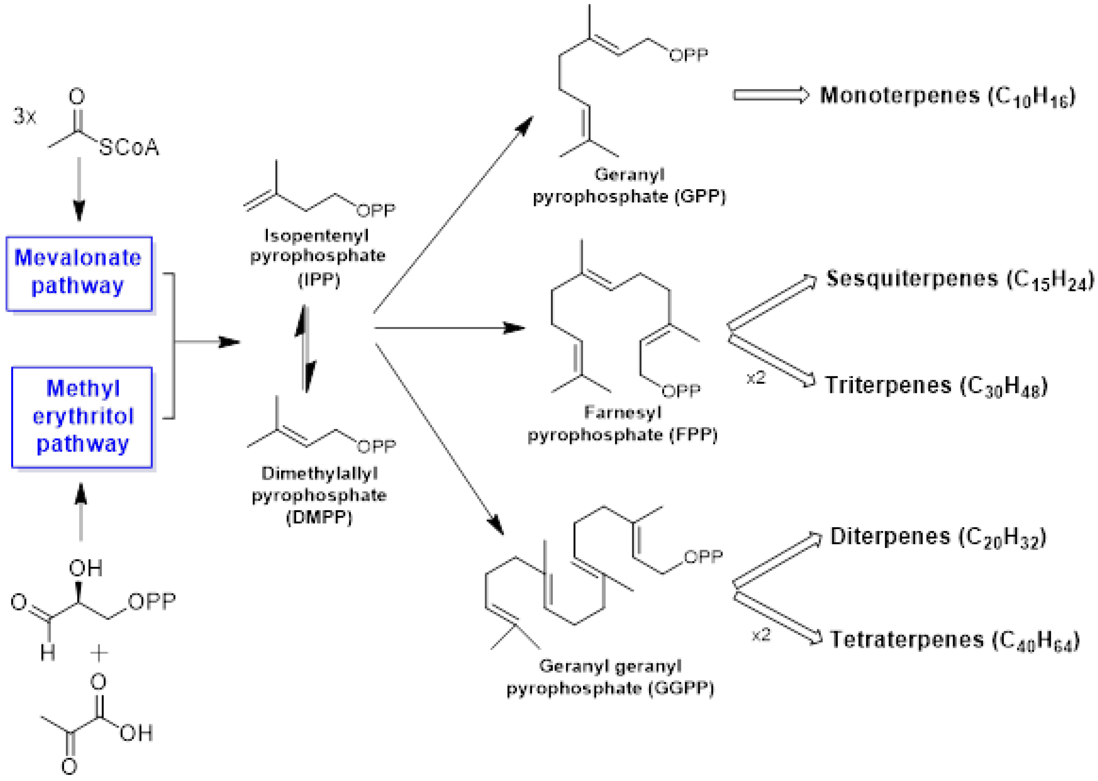 Biomolecules 13 01144 g001