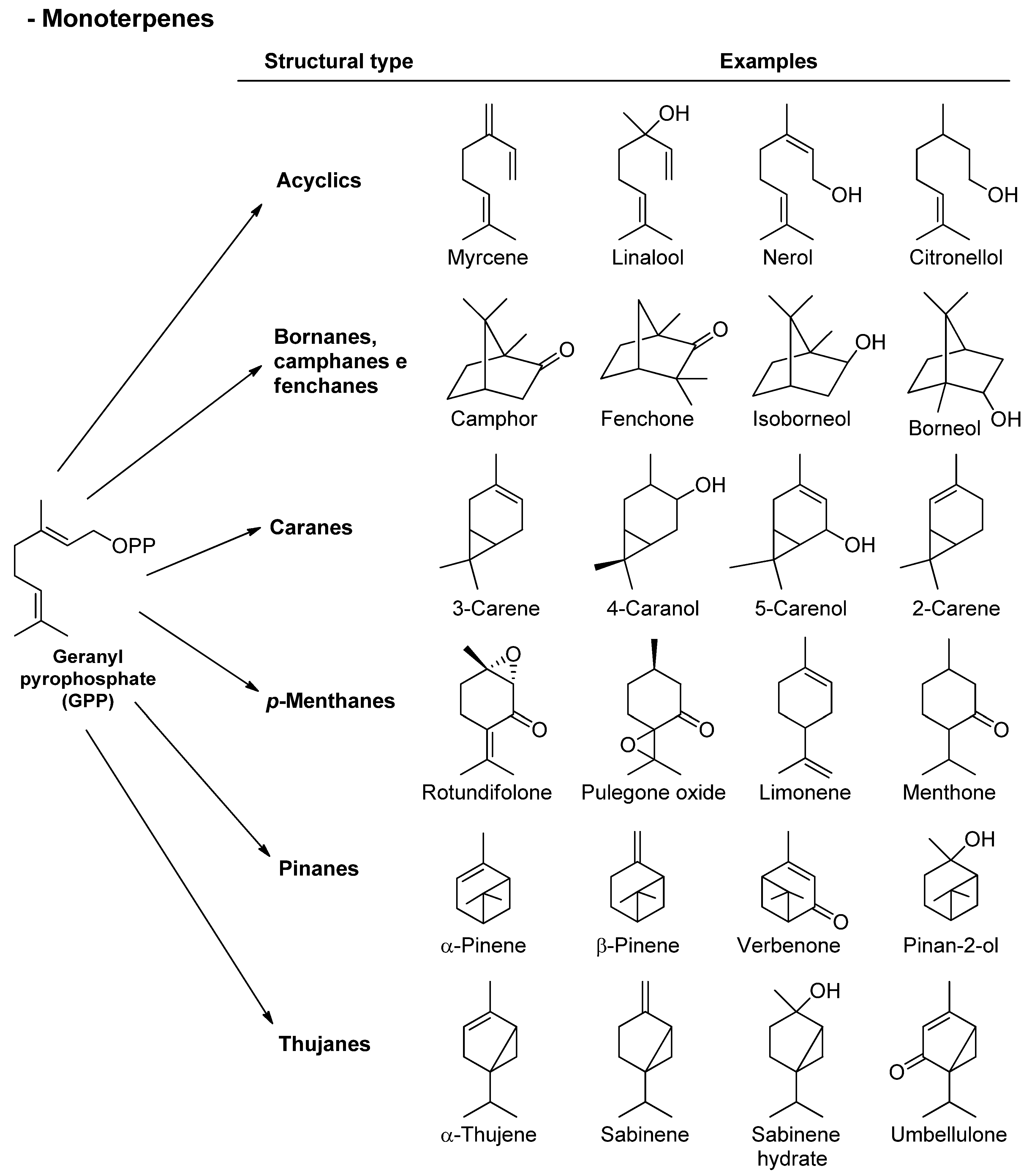 Biomolecules 13 01144 g002