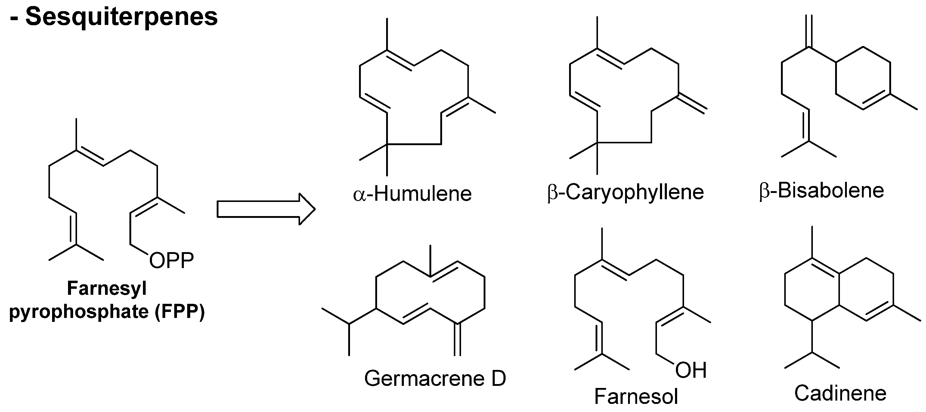 Biomolecules 13 01144 g003