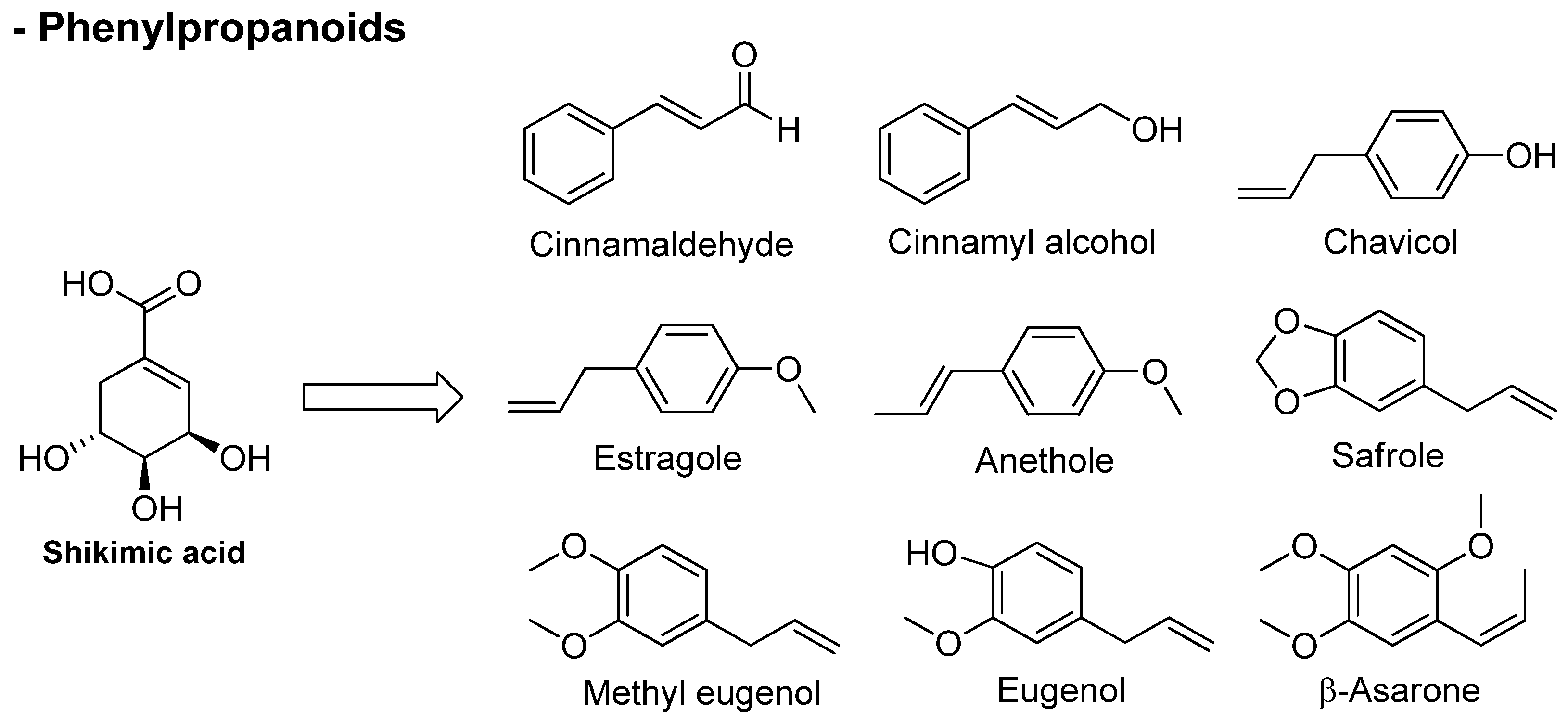 Biomolecules 13 01144 g004