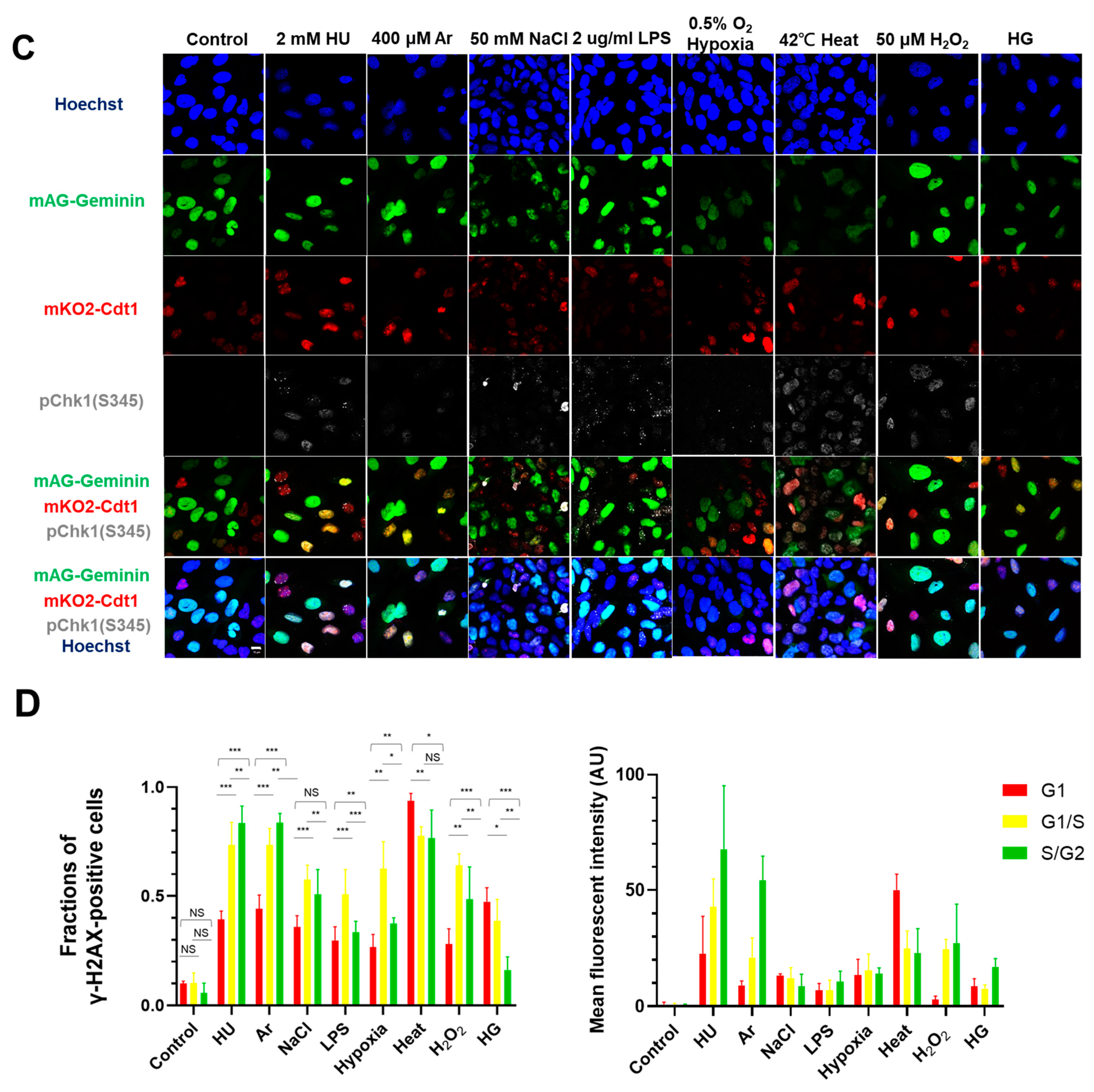 Biomolecules 13 01145 g001b