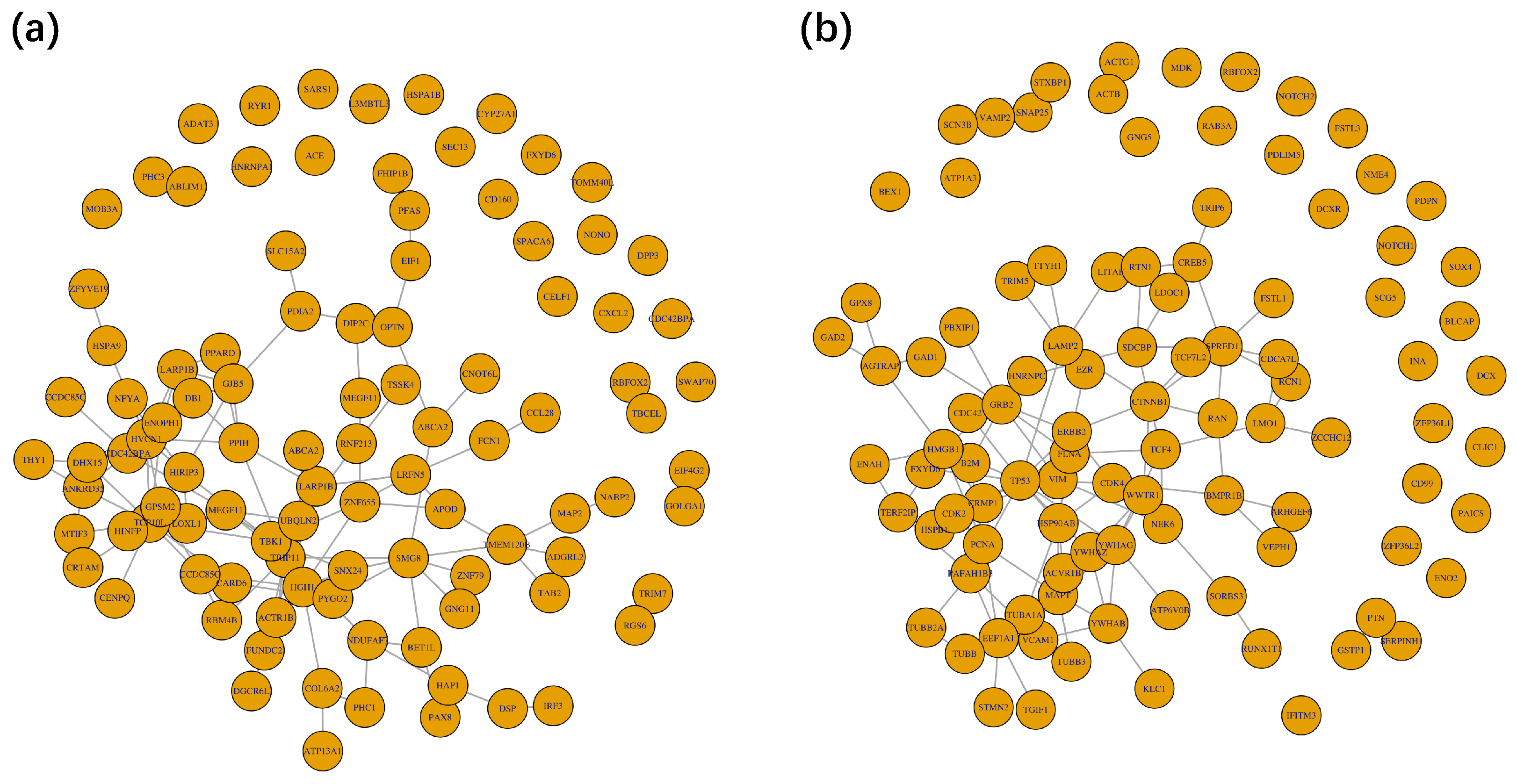 Biomolecules 13 01153 g006