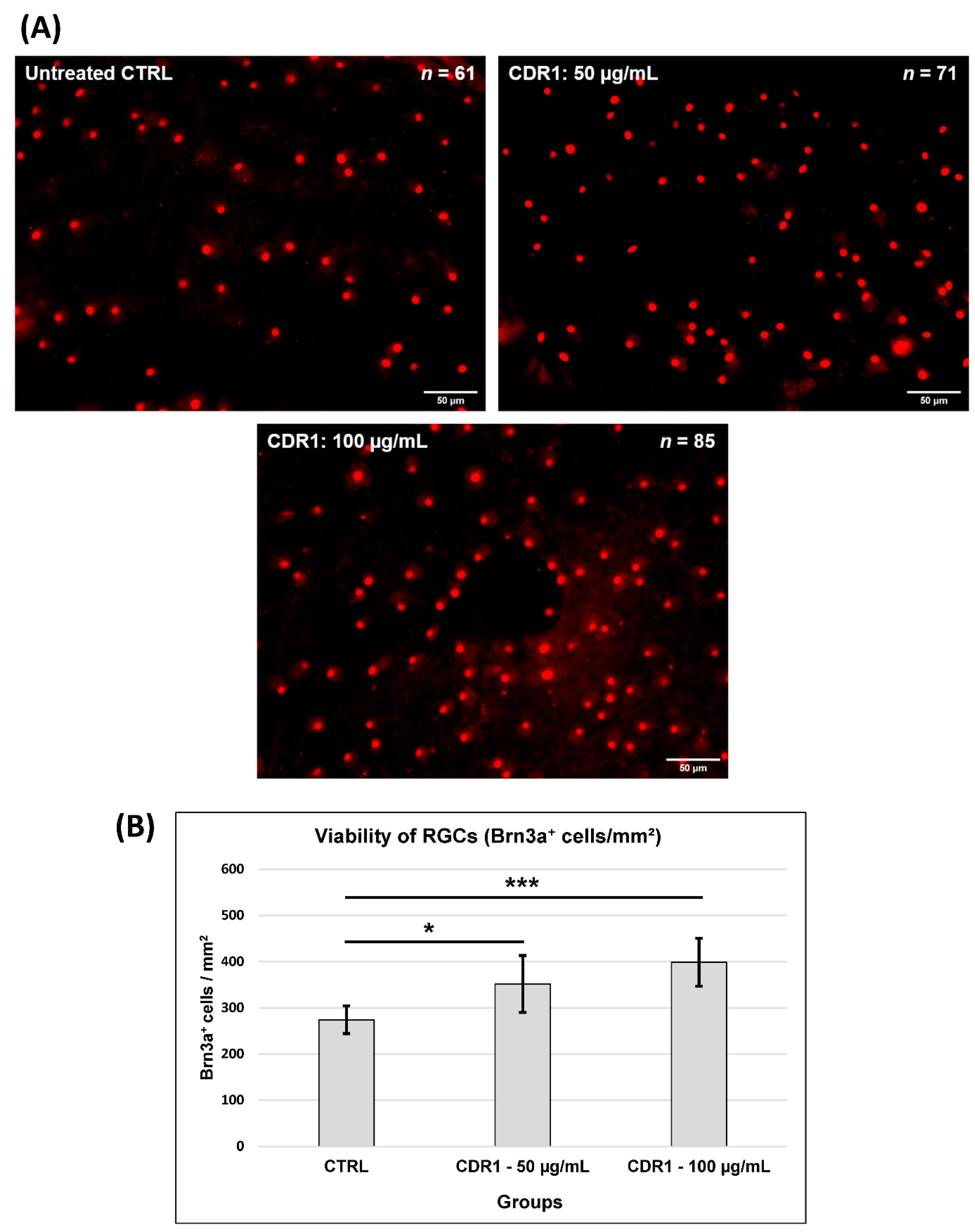 Biomolecules 13 01161 g001