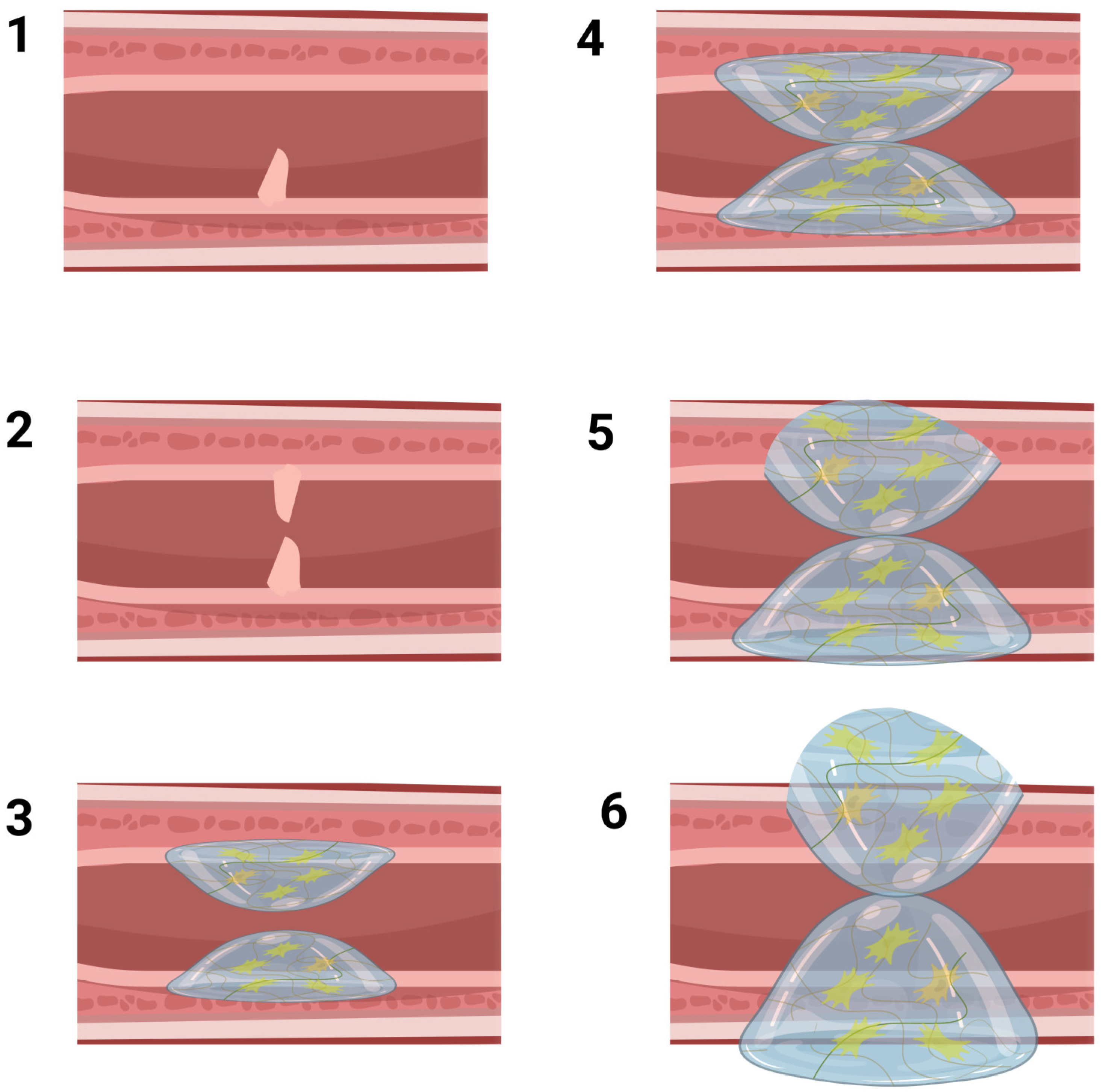 Biomolecules 13 01167 g001 Biomolecules 13 01167 g001