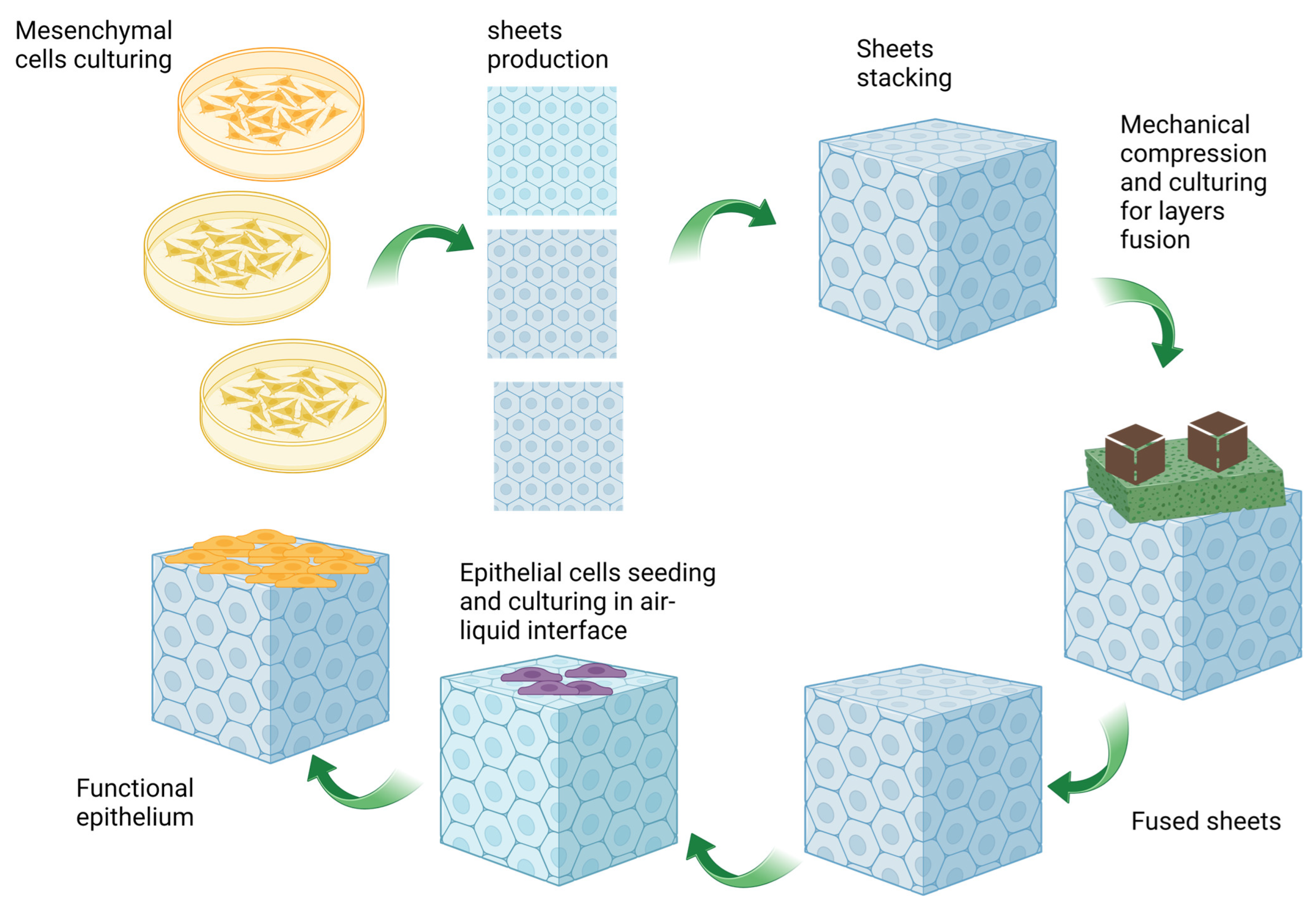 Biomolecules 13 01167 g002 Biomolecules 13 01167 g002