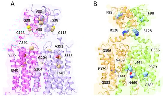 Biomolecules 13 01172 g005