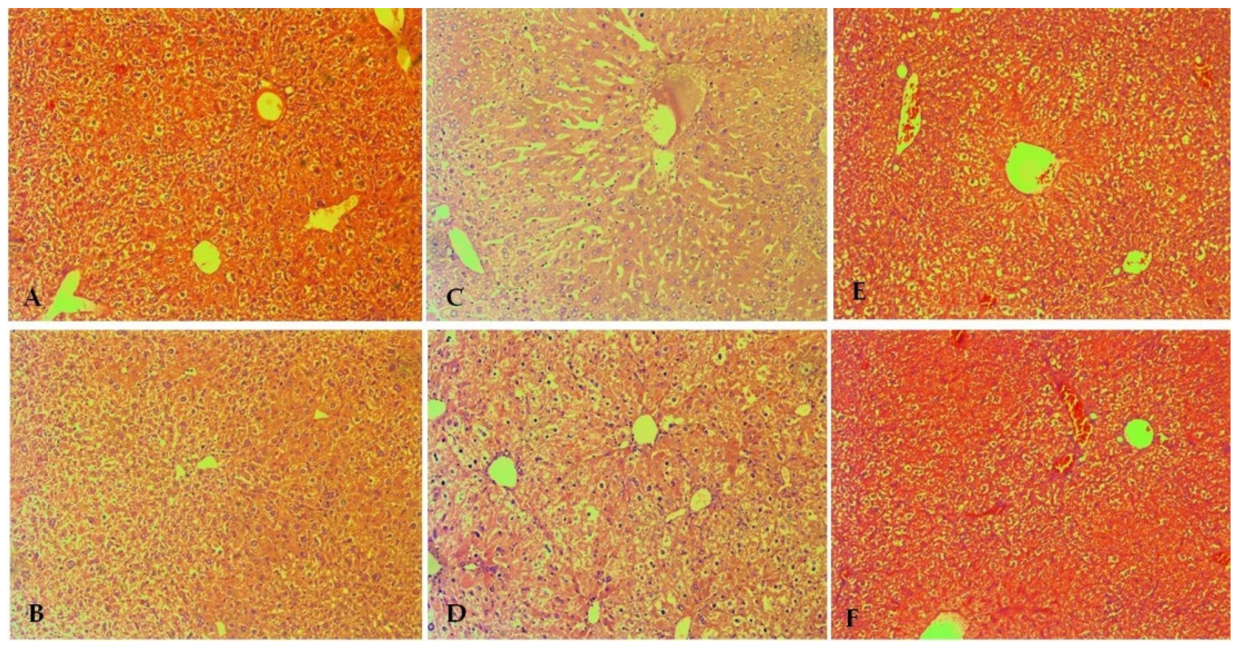 Biomolecules 13 01174 g004