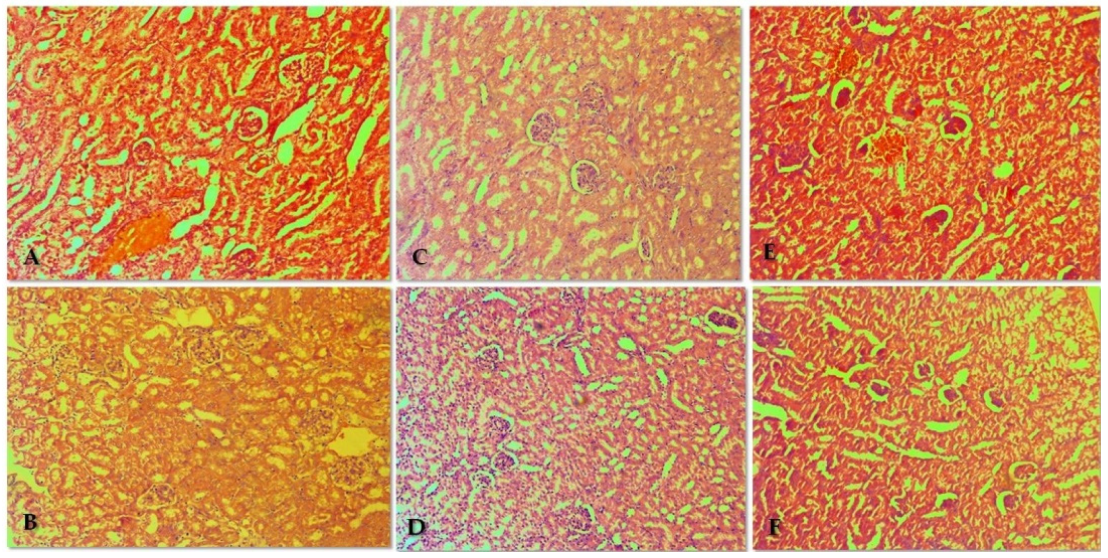 Biomolecules 13 01174 g005