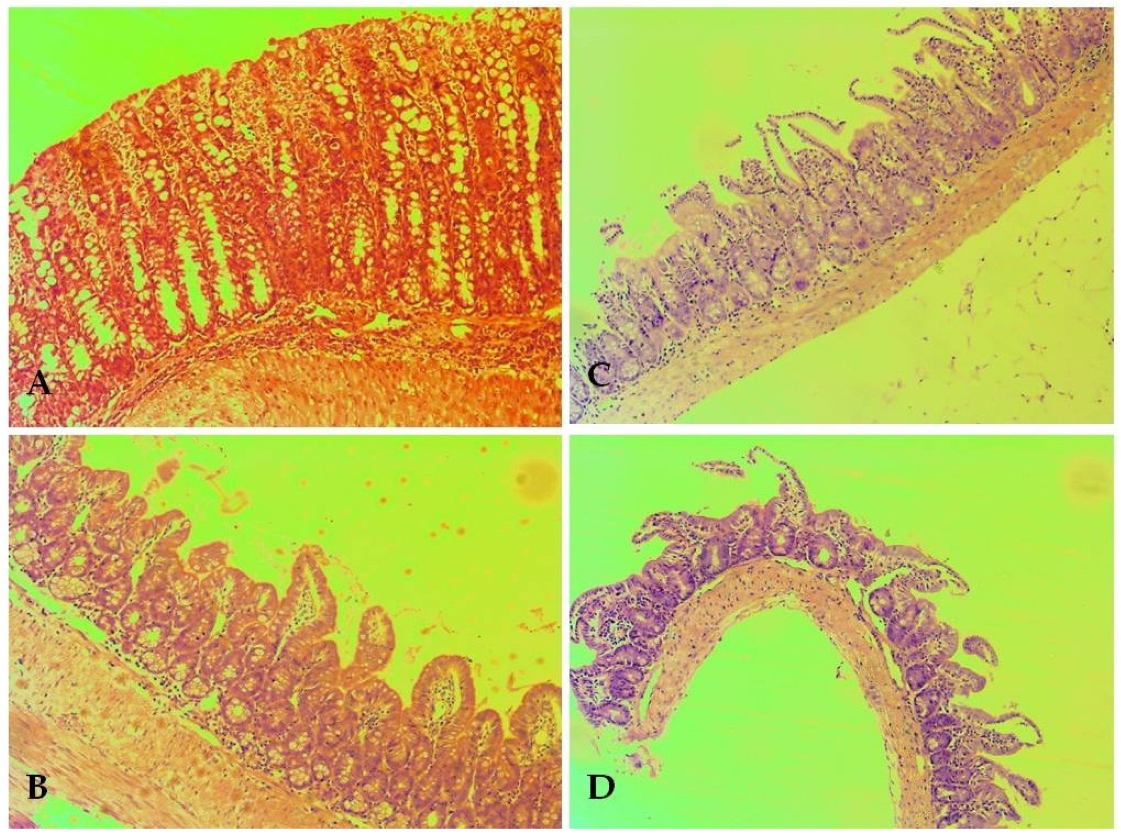 Biomolecules 13 01174 g006