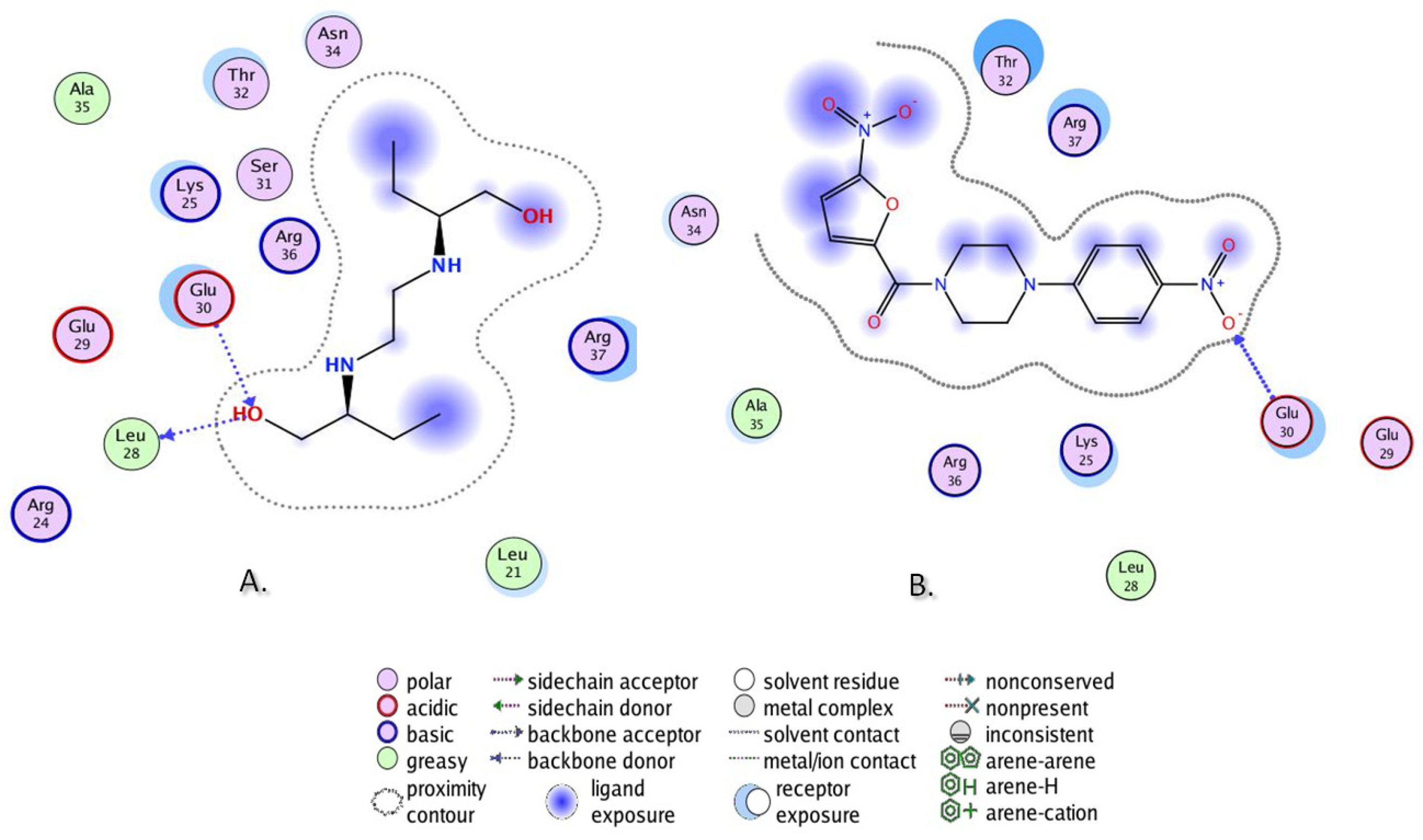 Biomolecules 13 01174 g013