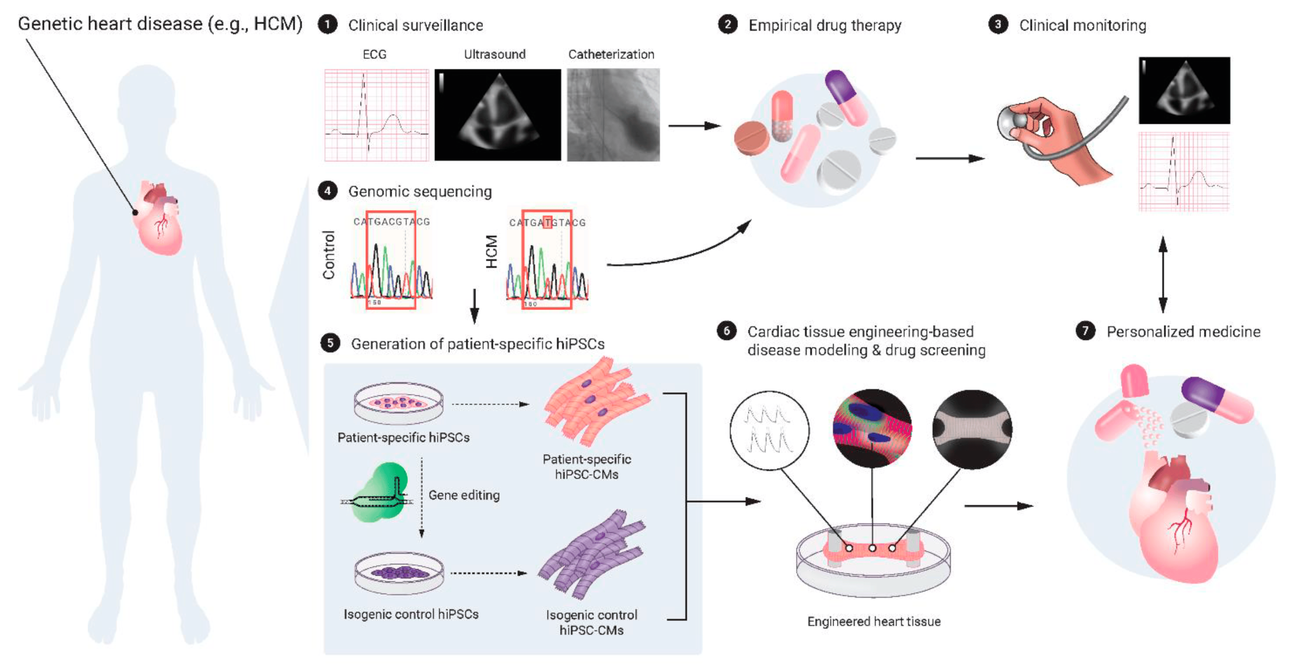 Biomolecules 13 01180 g002 Biomolecules 13 01180 g002