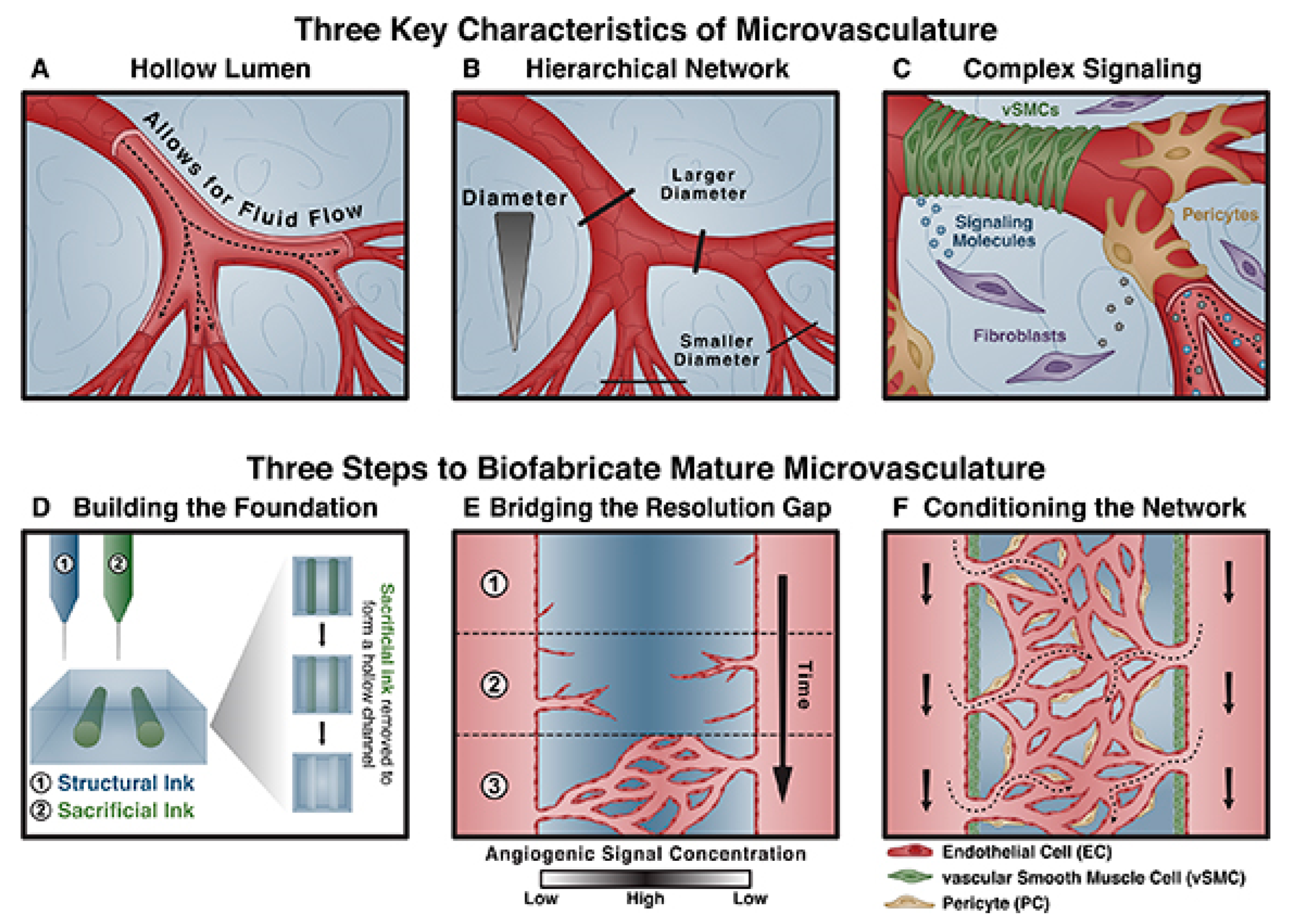 Biomolecules 13 01180 g003 Biomolecules 13 01180 g003