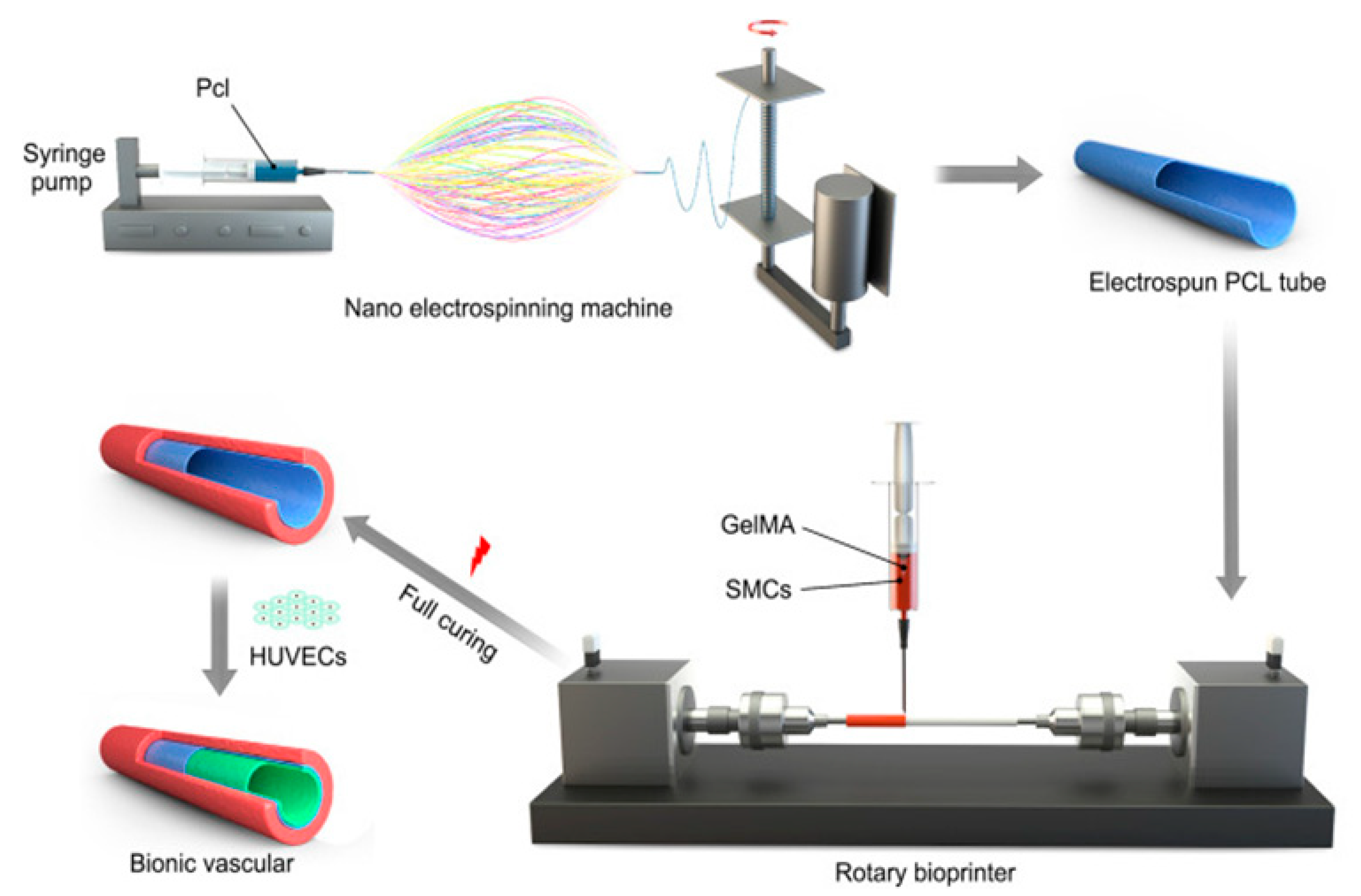 Biomolecules 13 01180 g007 Biomolecules 13 01180 g007