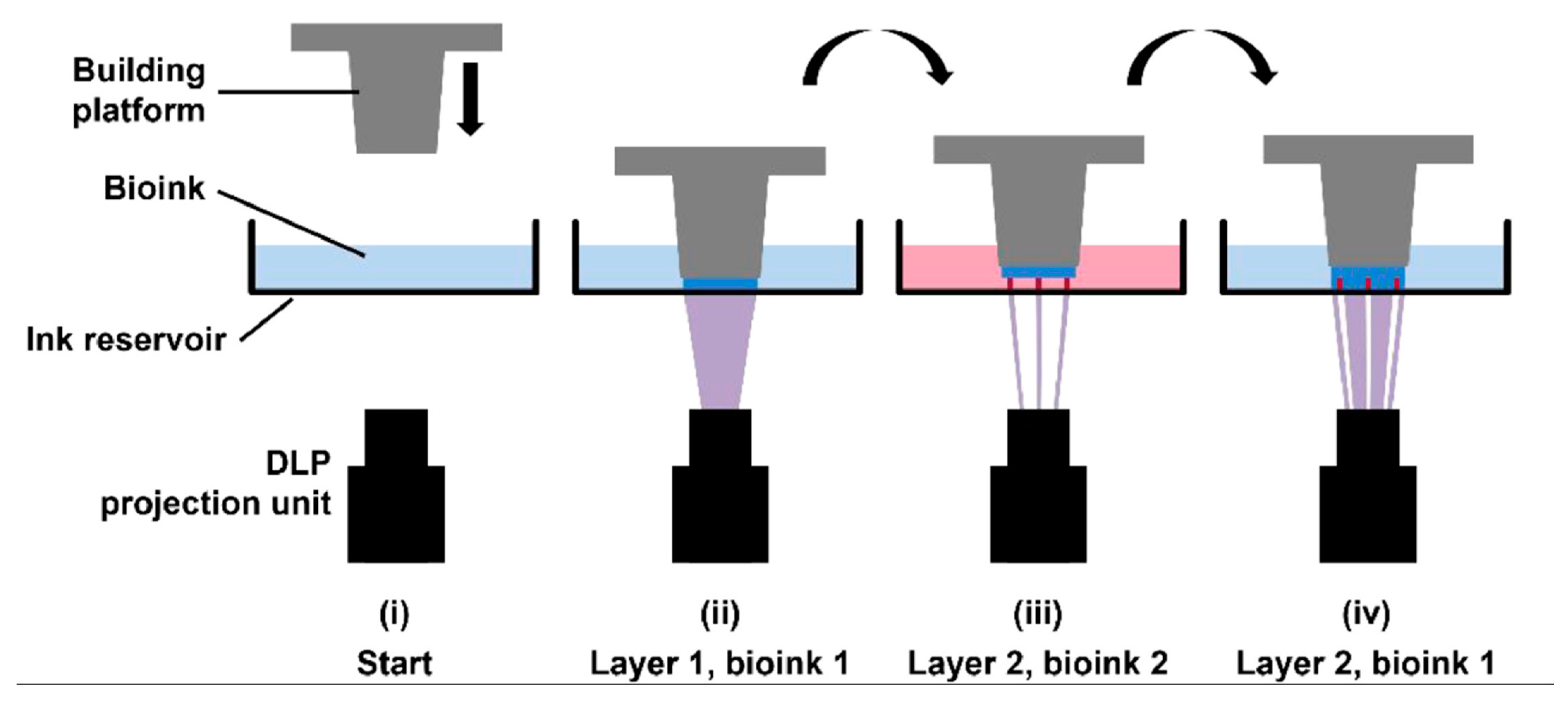 Biomolecules 13 01180 g008 Biomolecules 13 01180 g008