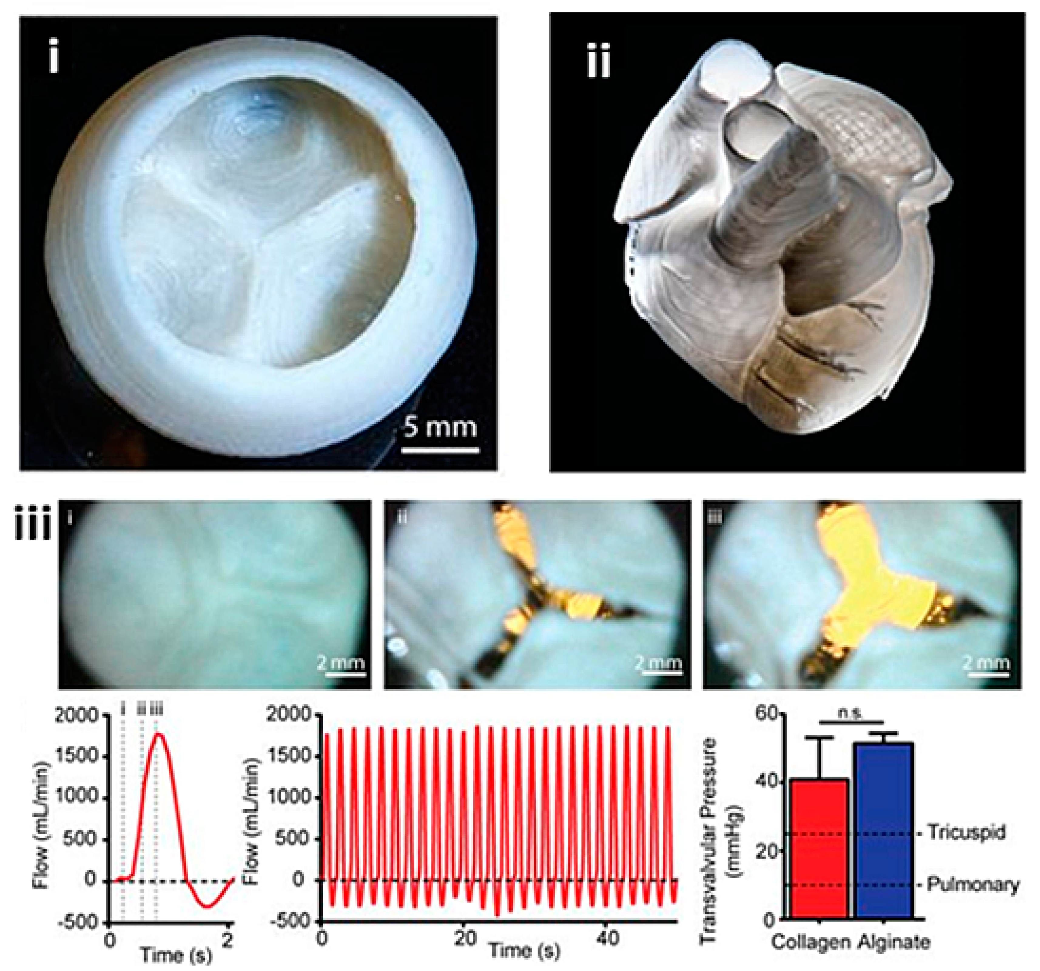 Biomolecules 13 01180 g011 Biomolecules 13 01180 g011