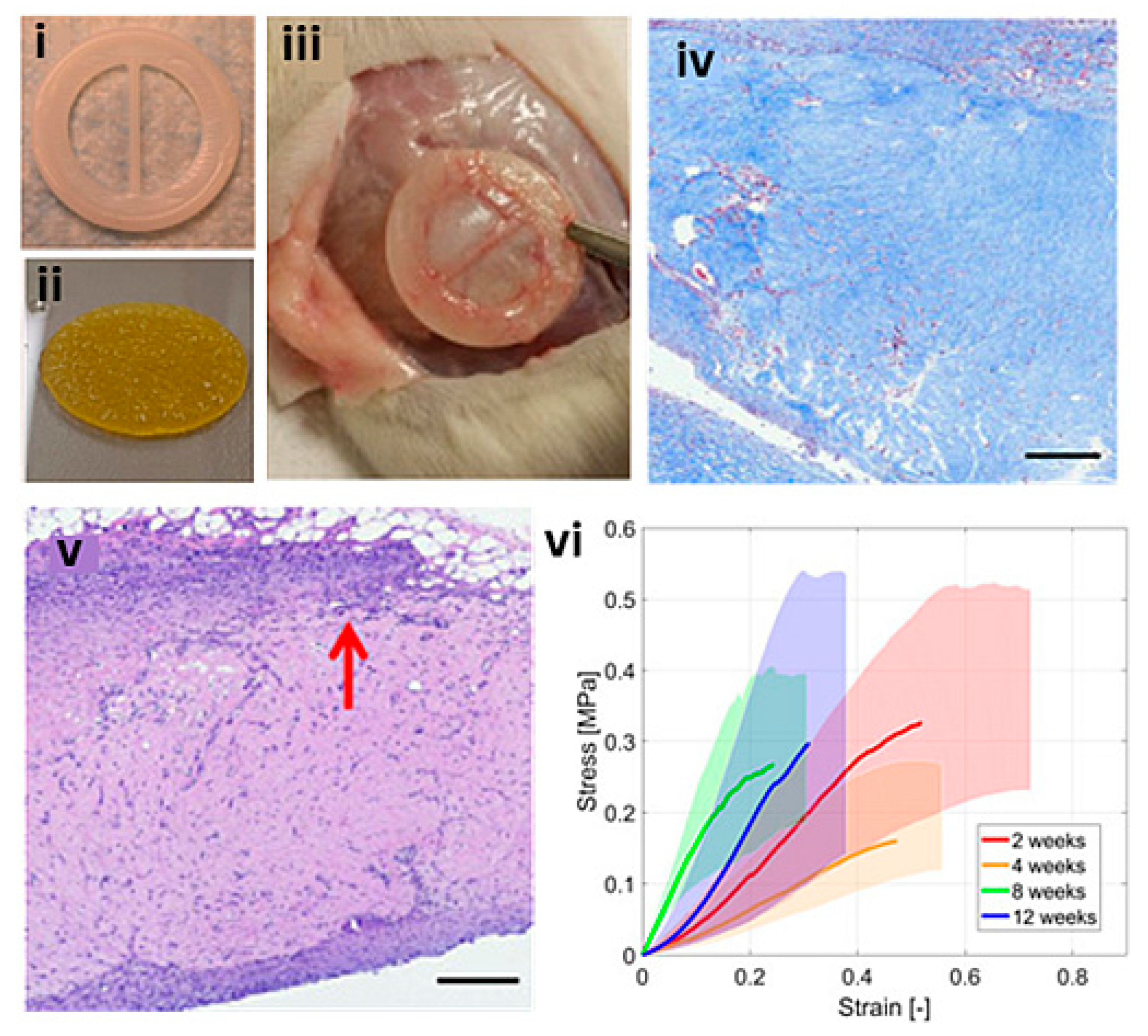 Biomolecules 13 01180 g012 Biomolecules 13 01180 g012