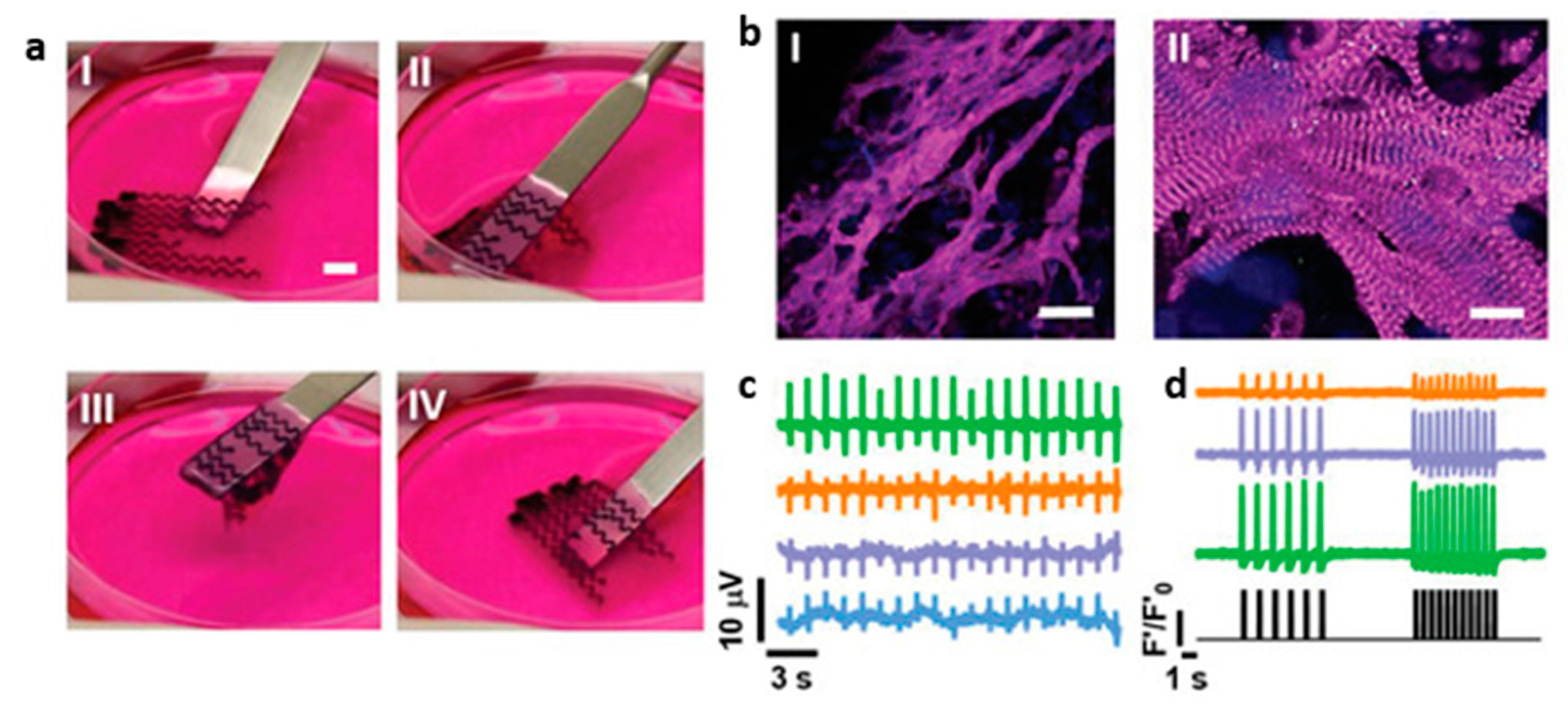 Biomolecules 13 01180 g013 Biomolecules 13 01180 g013