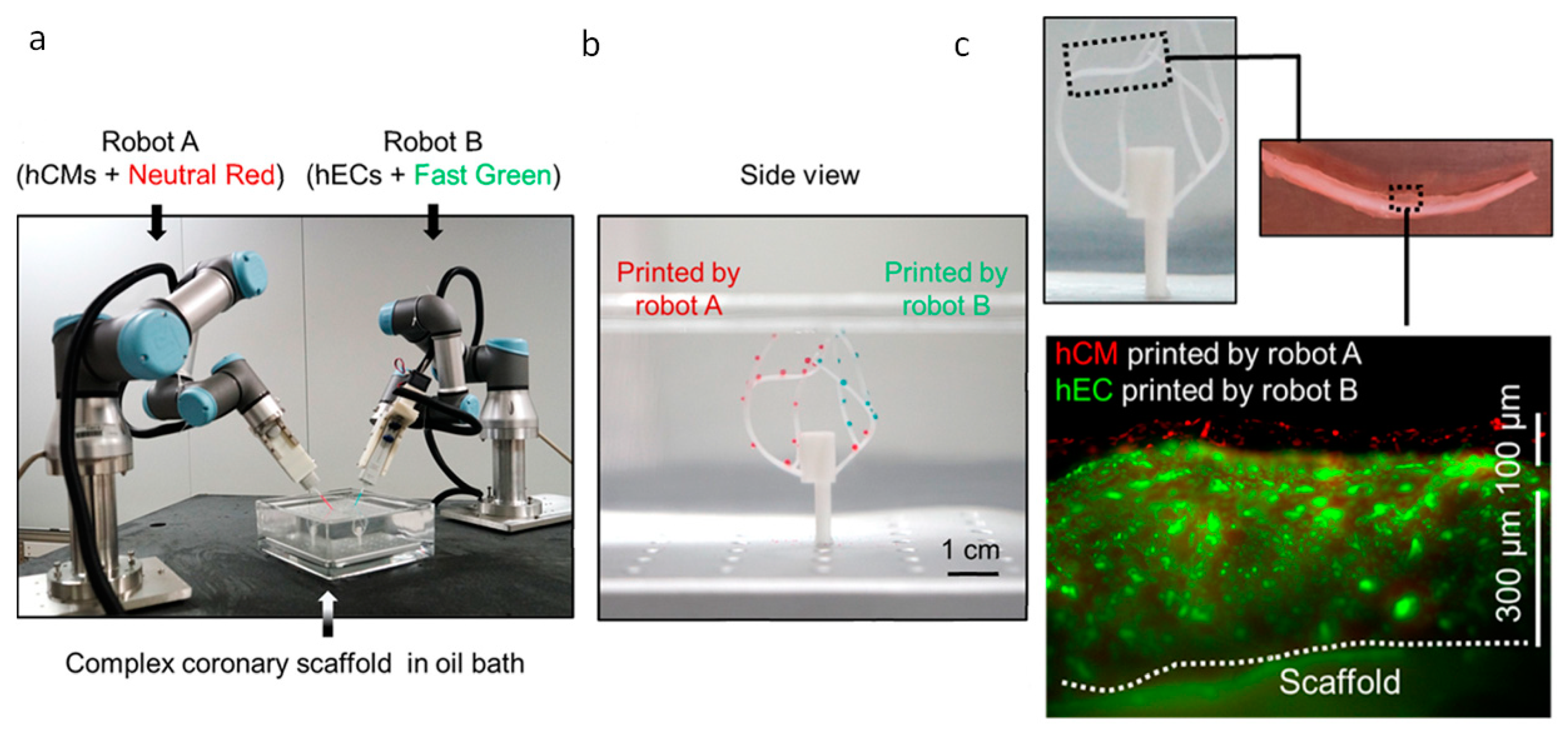 Biomolecules 13 01180 g016 Biomolecules 13 01180 g016