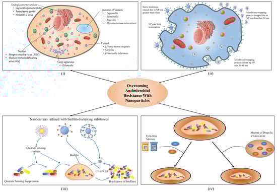 Biomolecules 13 01182 g002