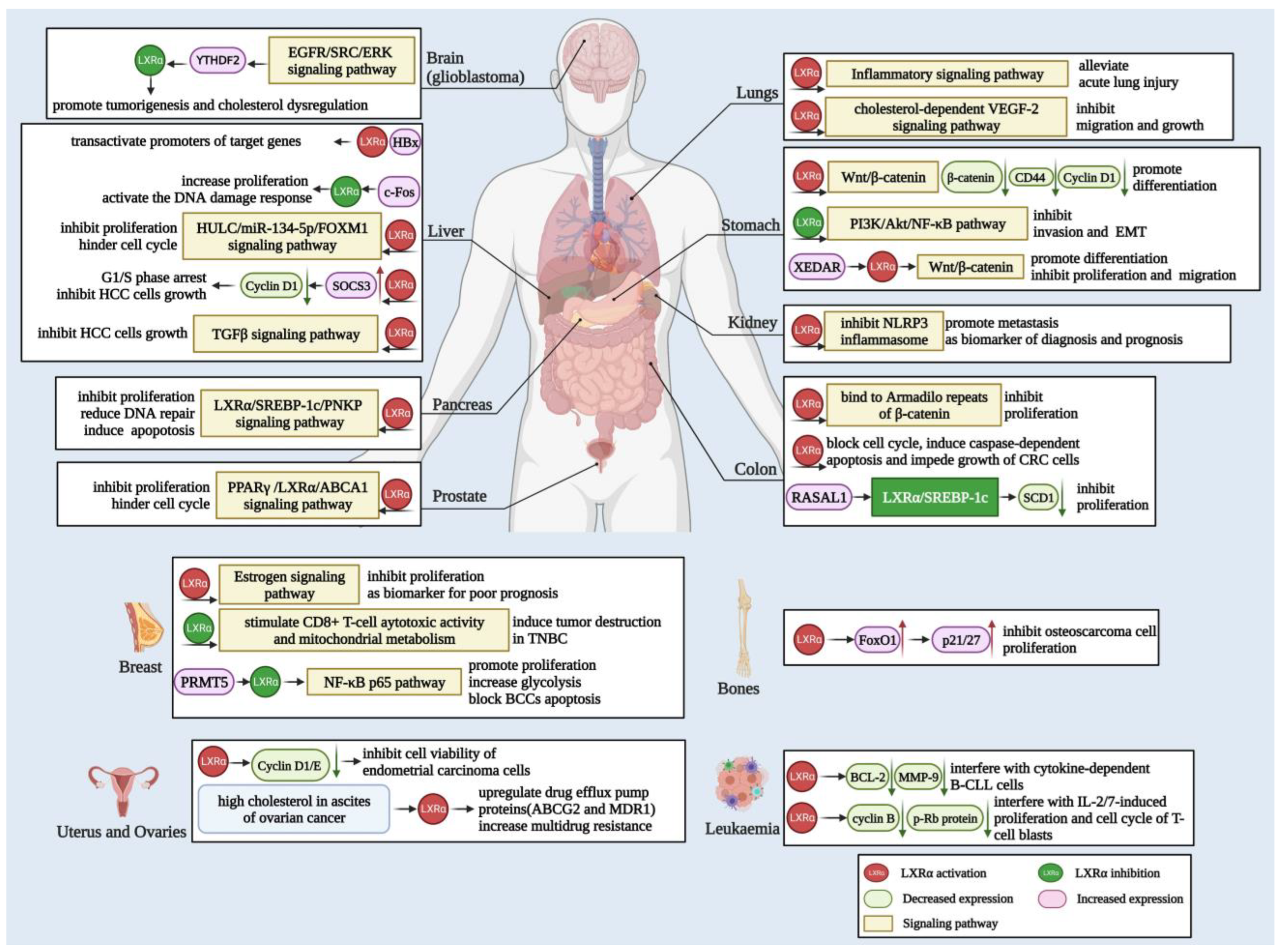 Biomolecules 13 01184 g003