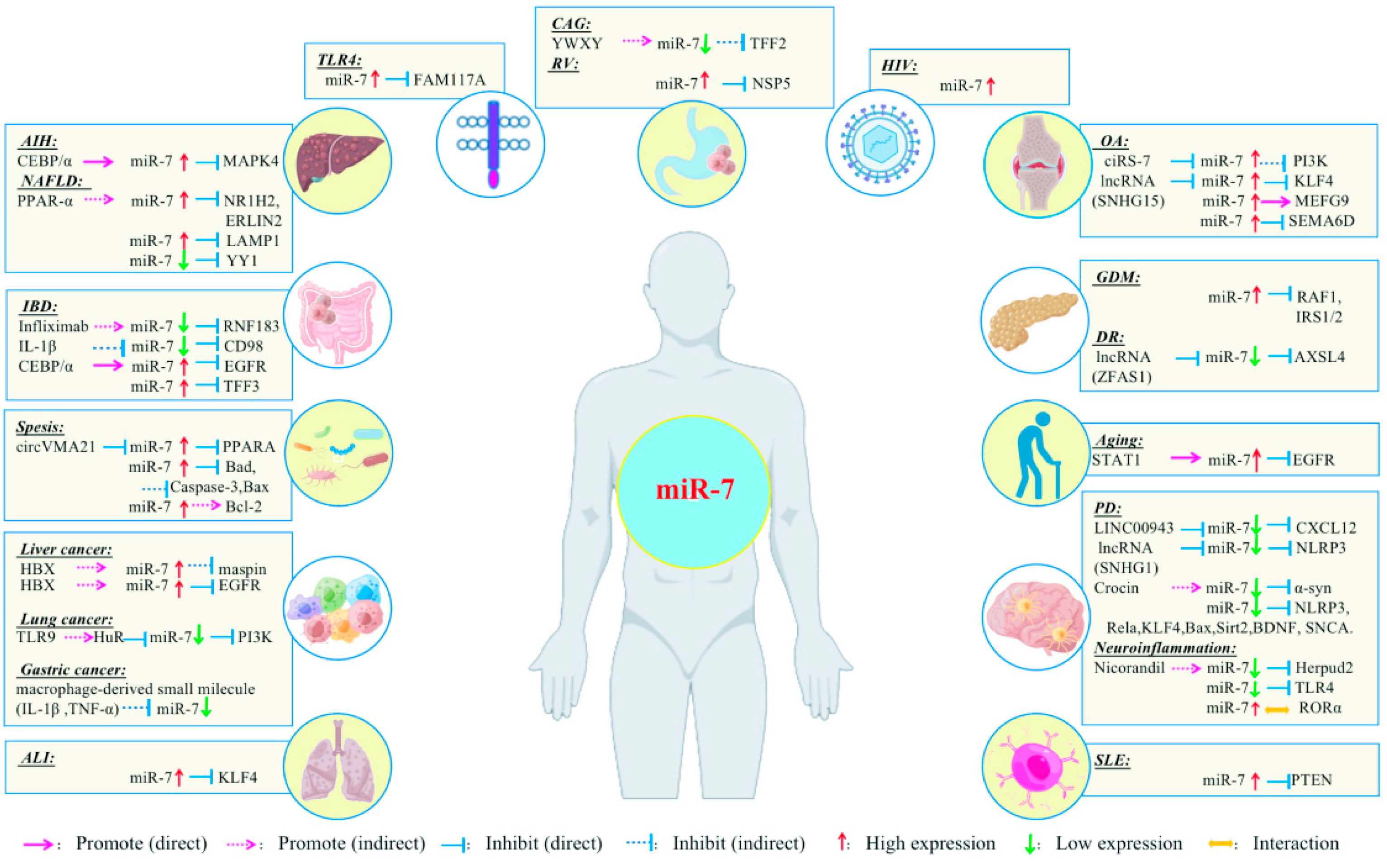 Biomolecules 13 01185 g003